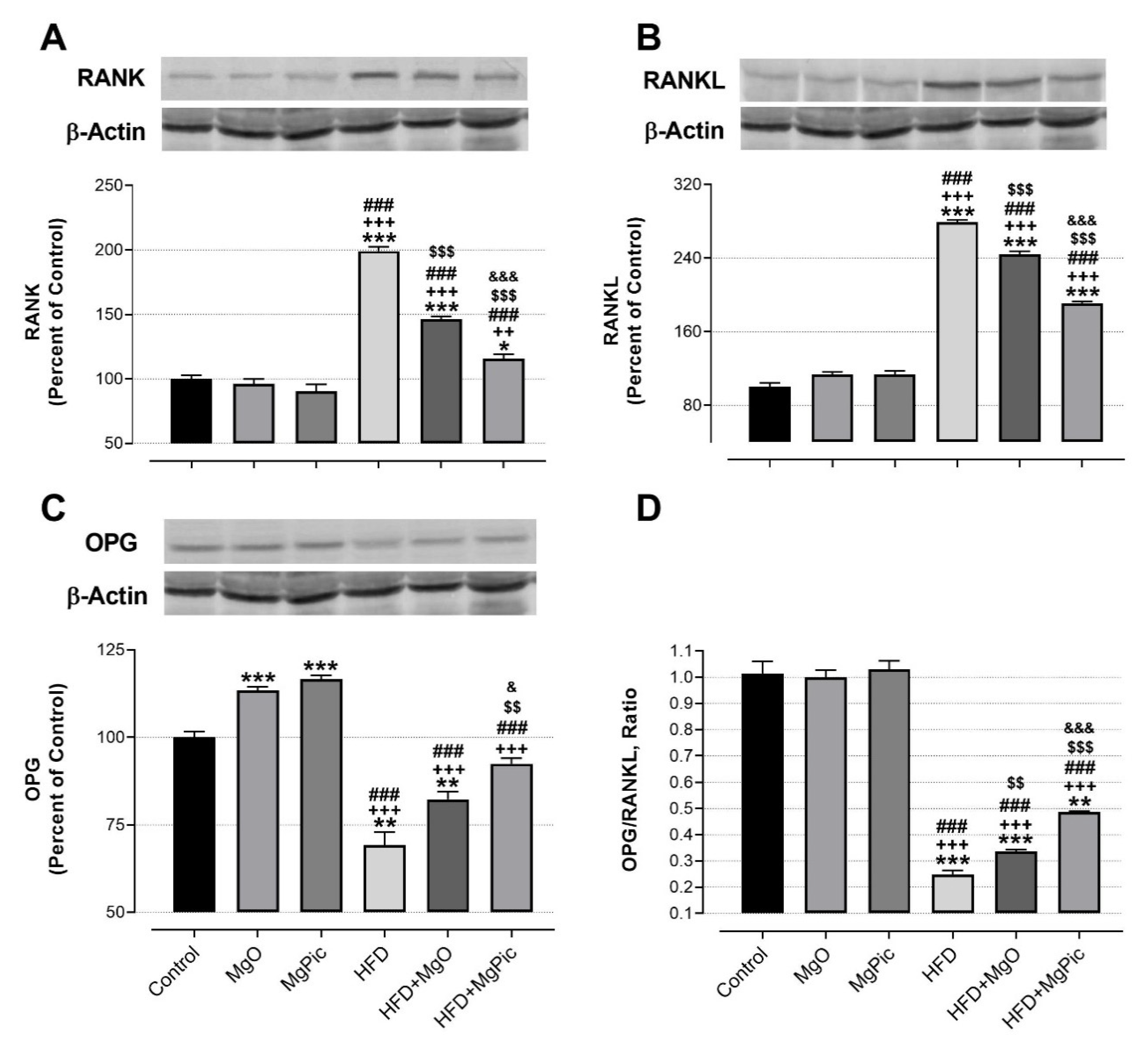 Nutrients 13 03353 g001 Nutrients 13 03353 g001