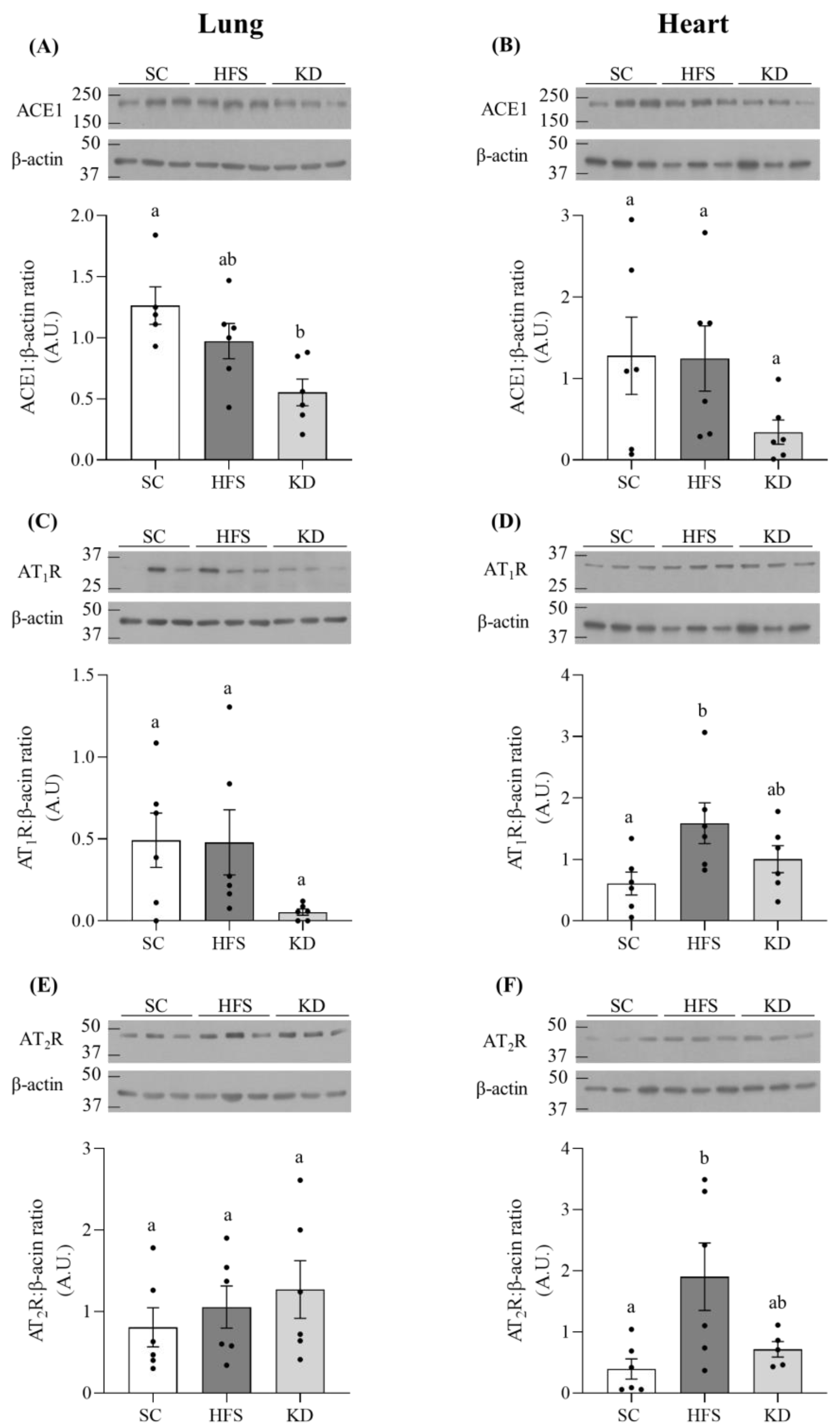 Nutrients 13 03357 g002