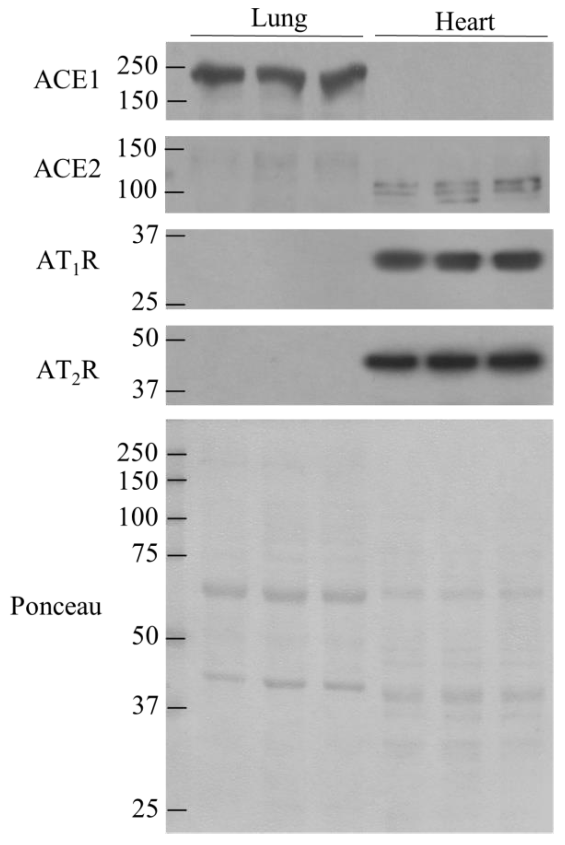 Nutrients 13 03357 g003