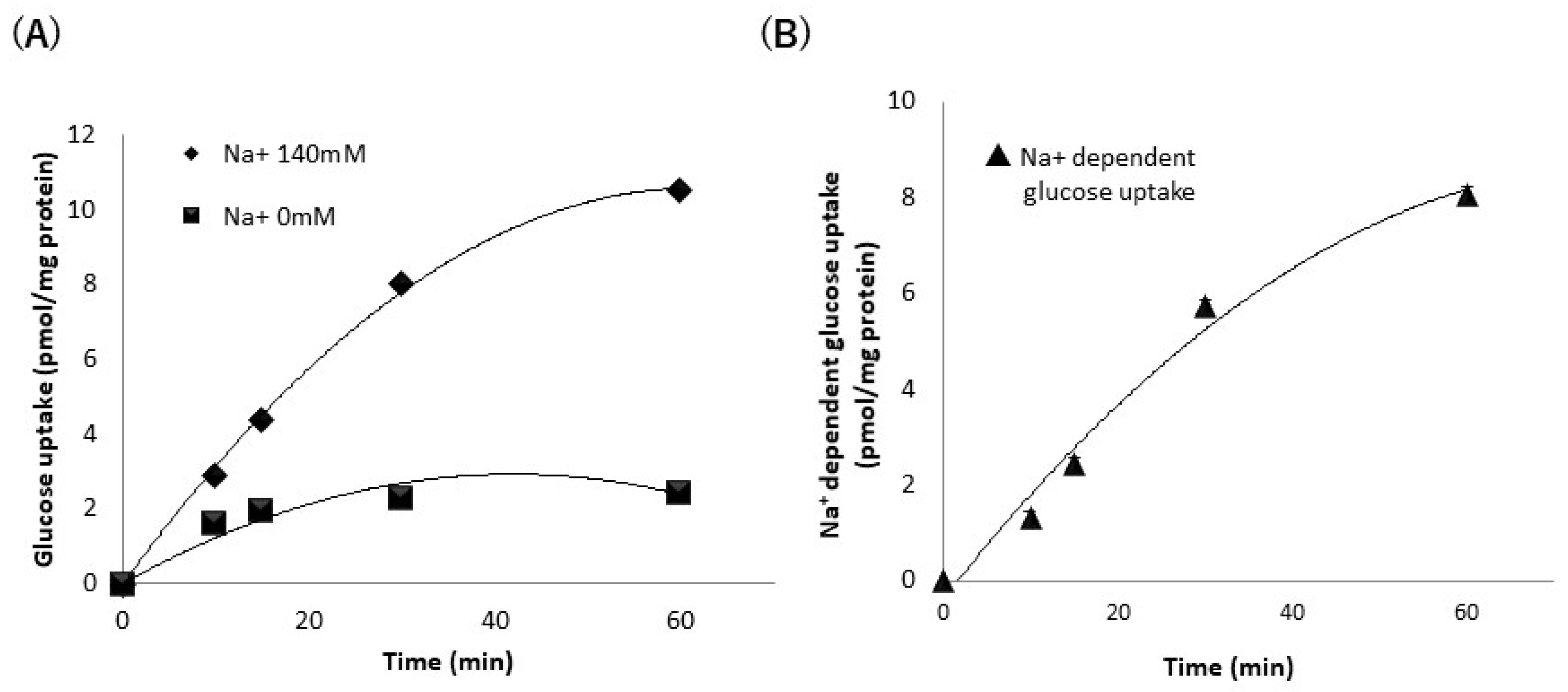 Nutrients 13 03382 g001 Nutrients 13 03382 g001