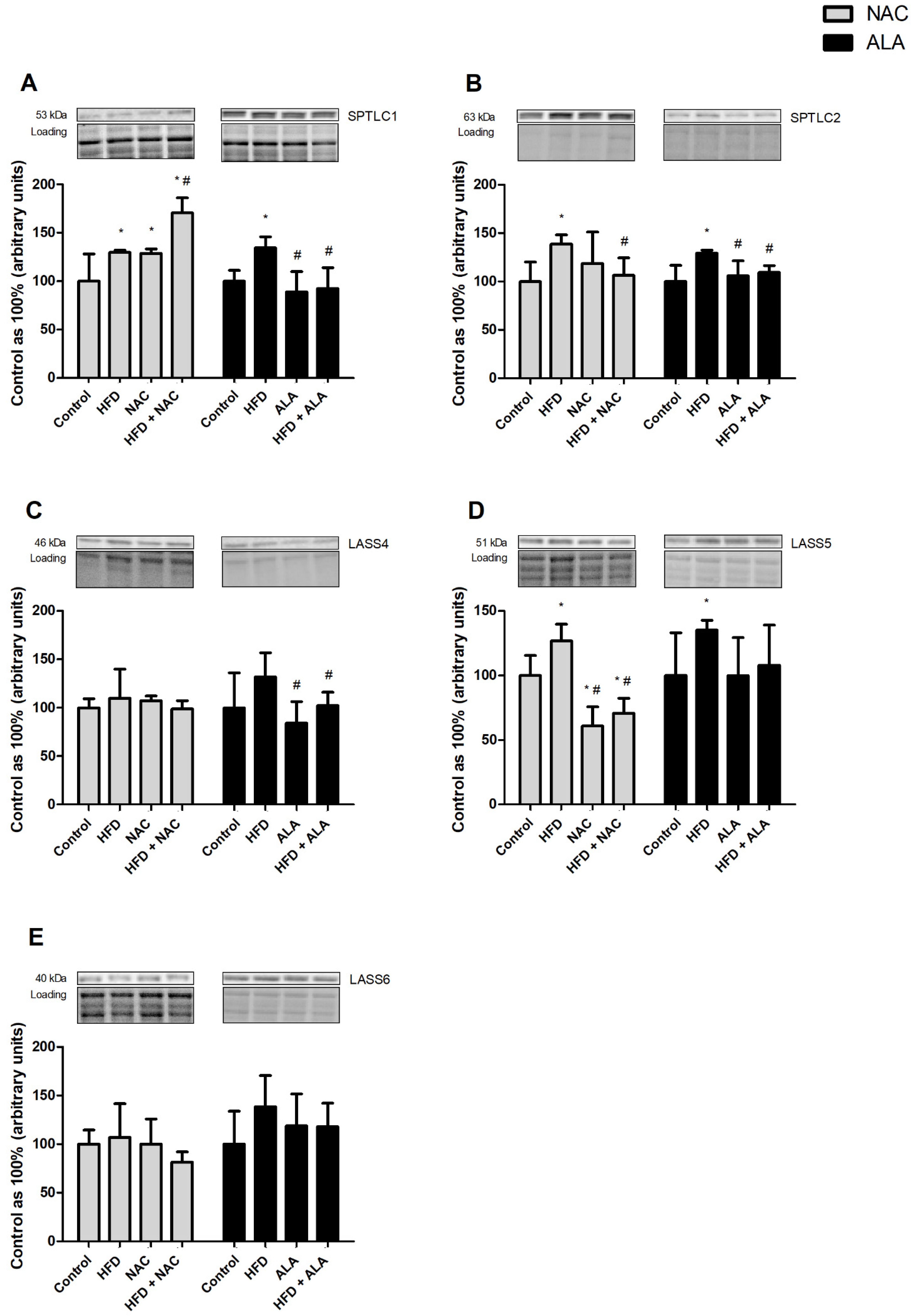 Nutrients 13 03413 g003