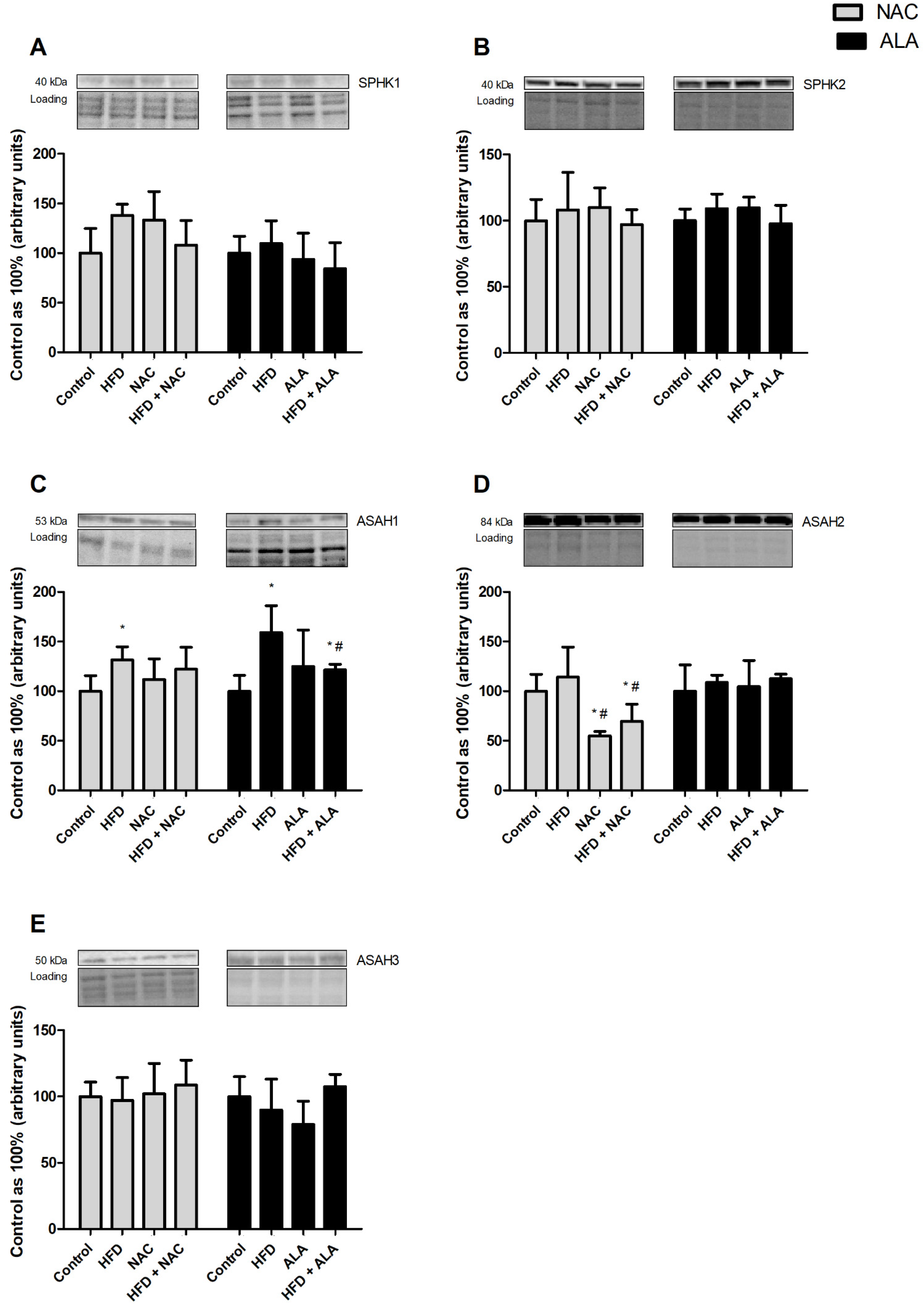Nutrients 13 03413 g004