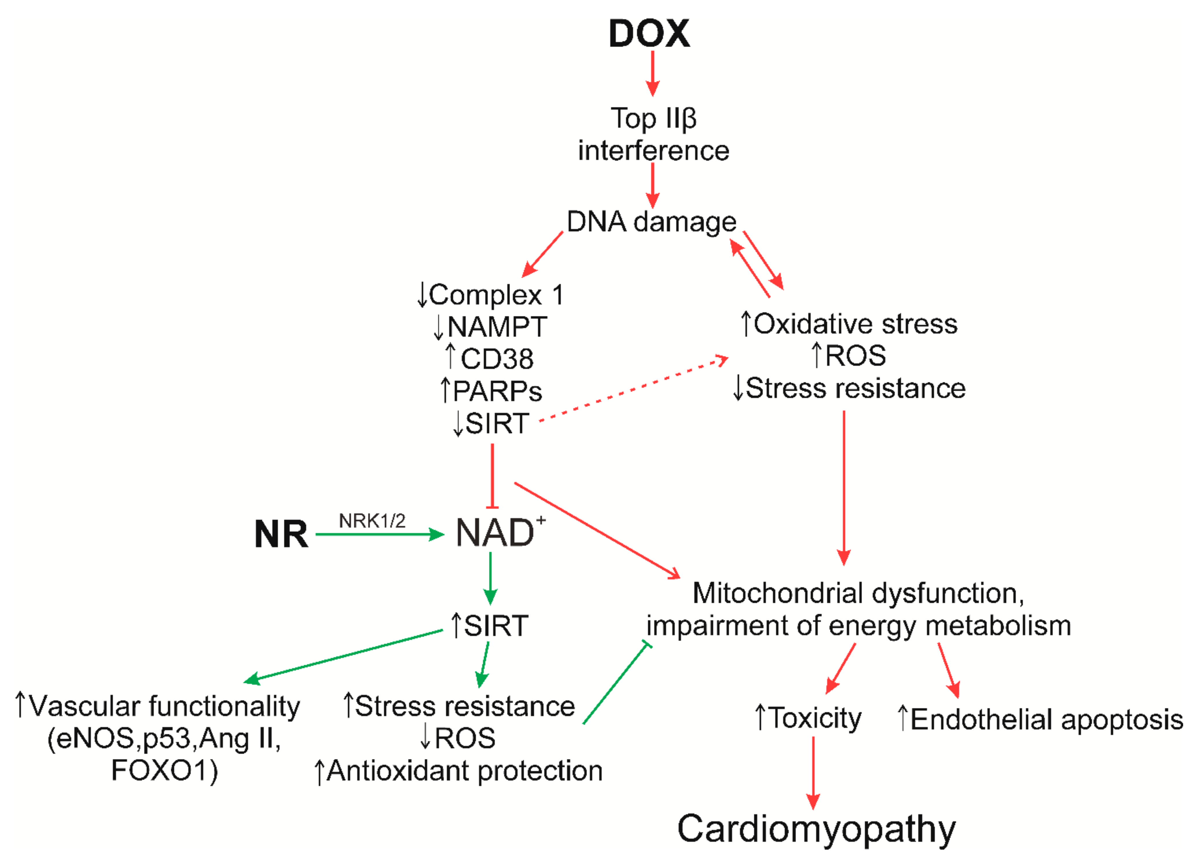 Nutrients 13 03435 g004