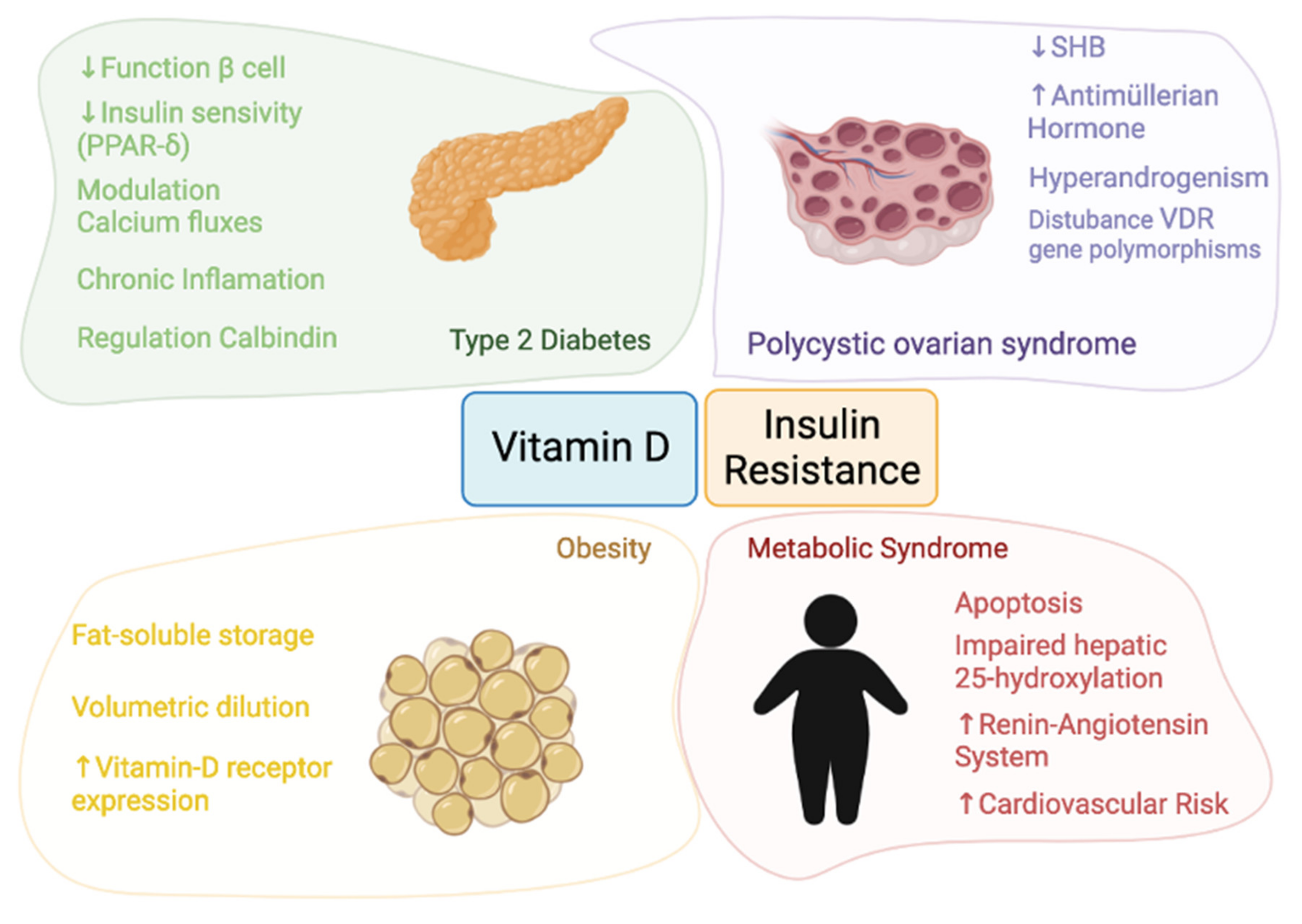 Nutrients | Free Full-Text | Mechanisms Involved in the Relationship  between Vitamin D and Insulin Resistance: Impact on Clinical Practice