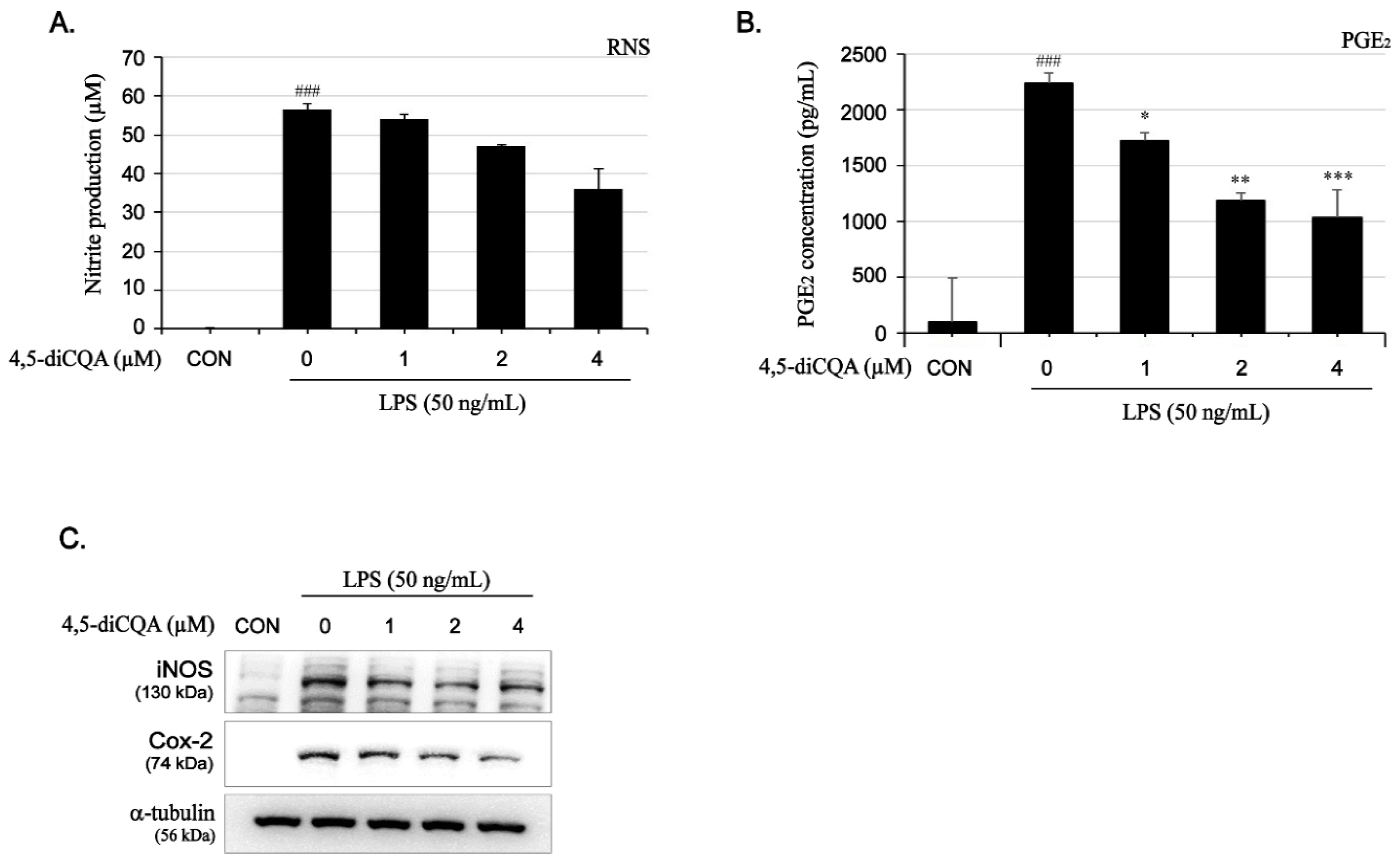 Nutrients 13 03537 g002