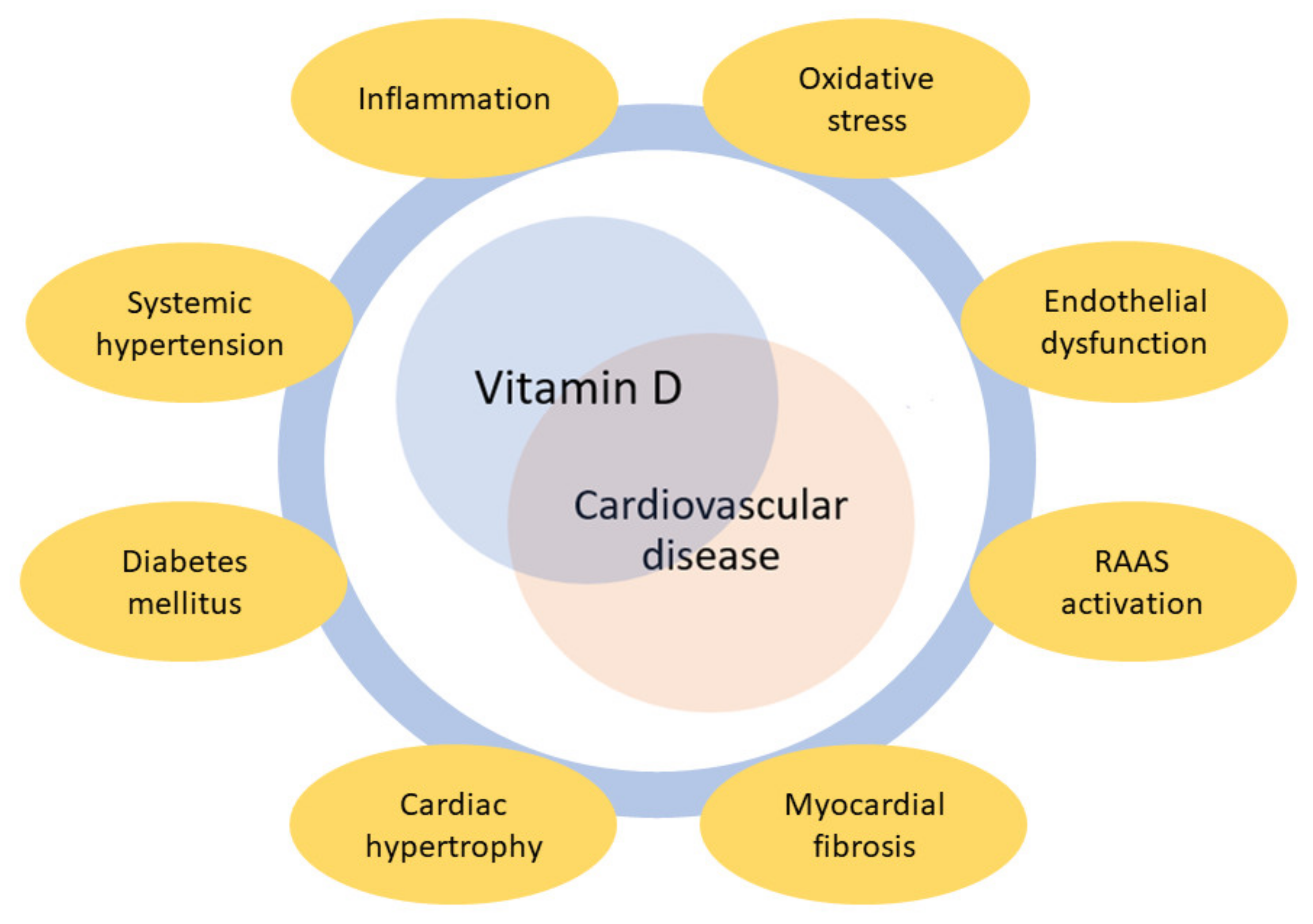 Nutrients | Free Full-Text | Vitamin D and Cardiovascular Disease: Current  Evidence and Future Perspectives