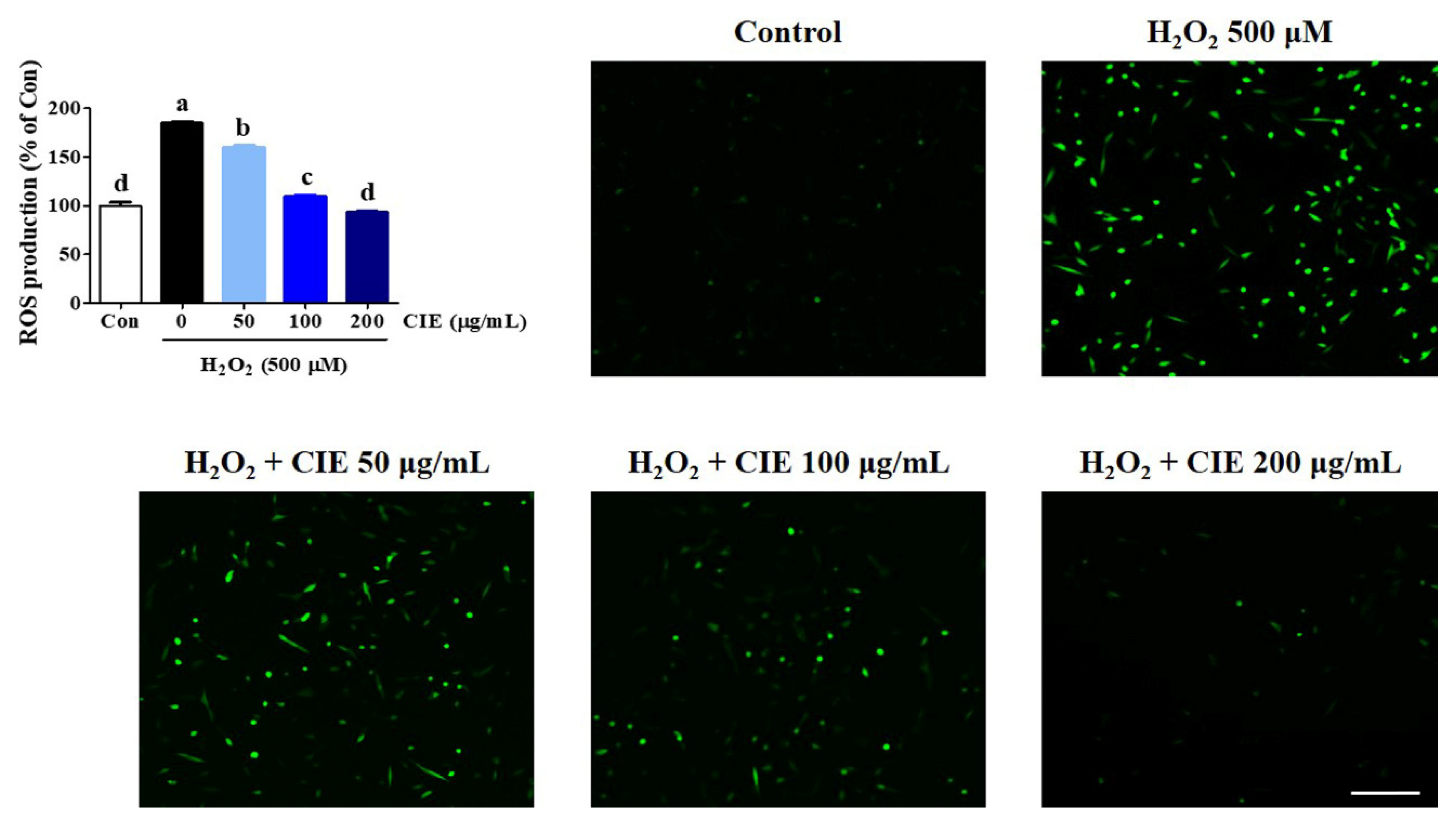 Nutrients 13 03690 g002 Nutrients 13 03690 g002