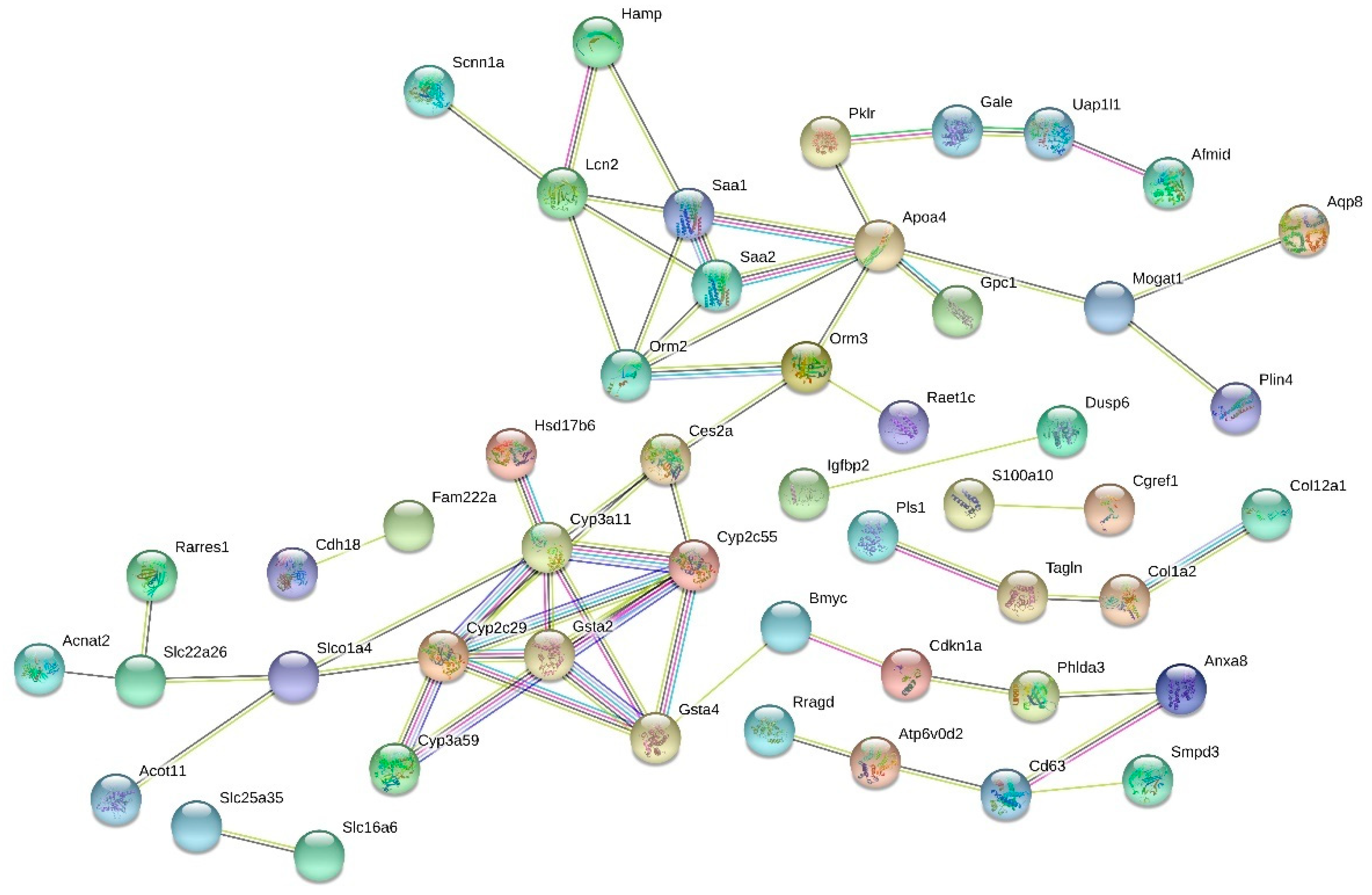 Nutrients 13 03693 g005