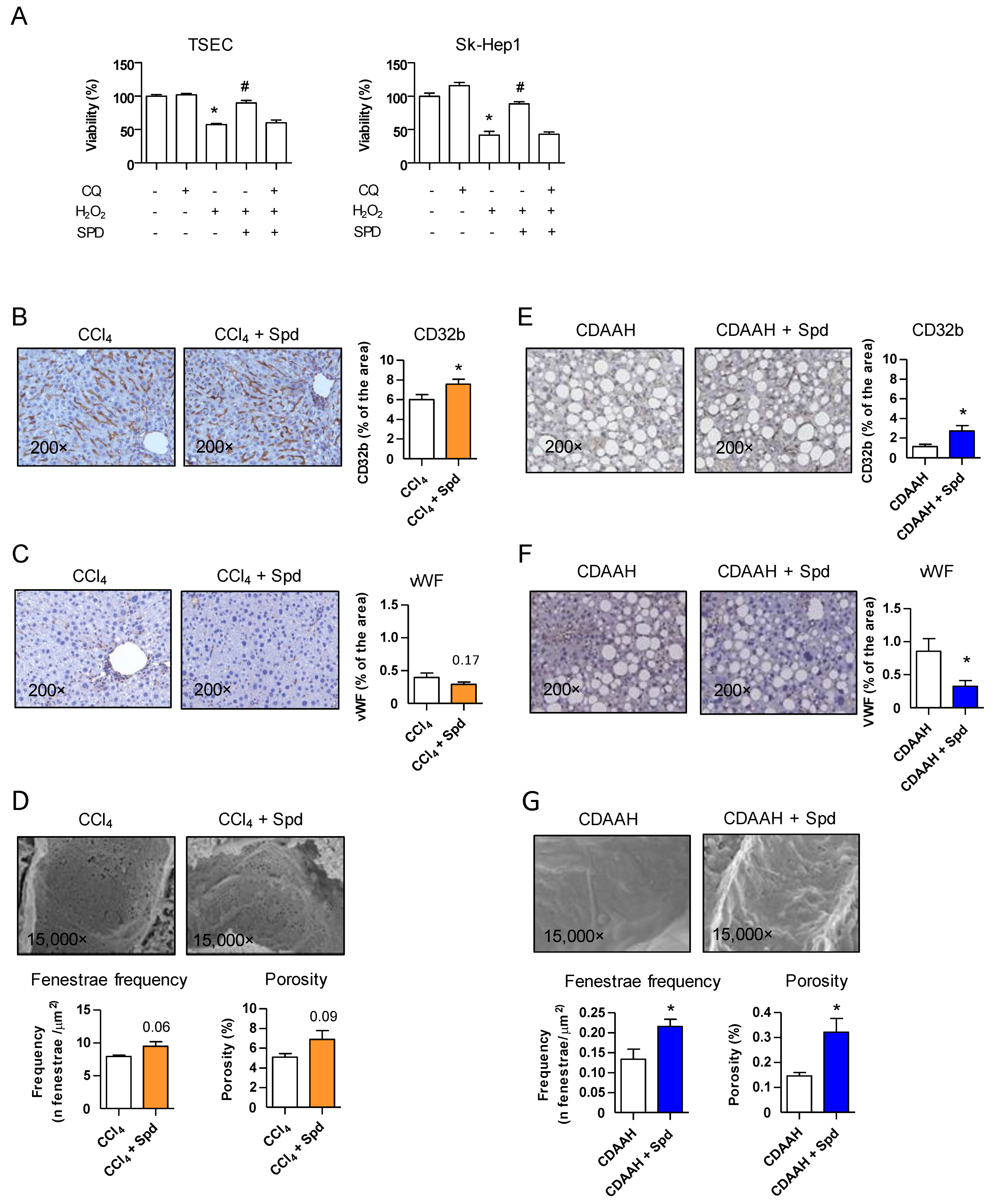 Nutrients 13 03700 g001 Nutrients 13 03700 g001