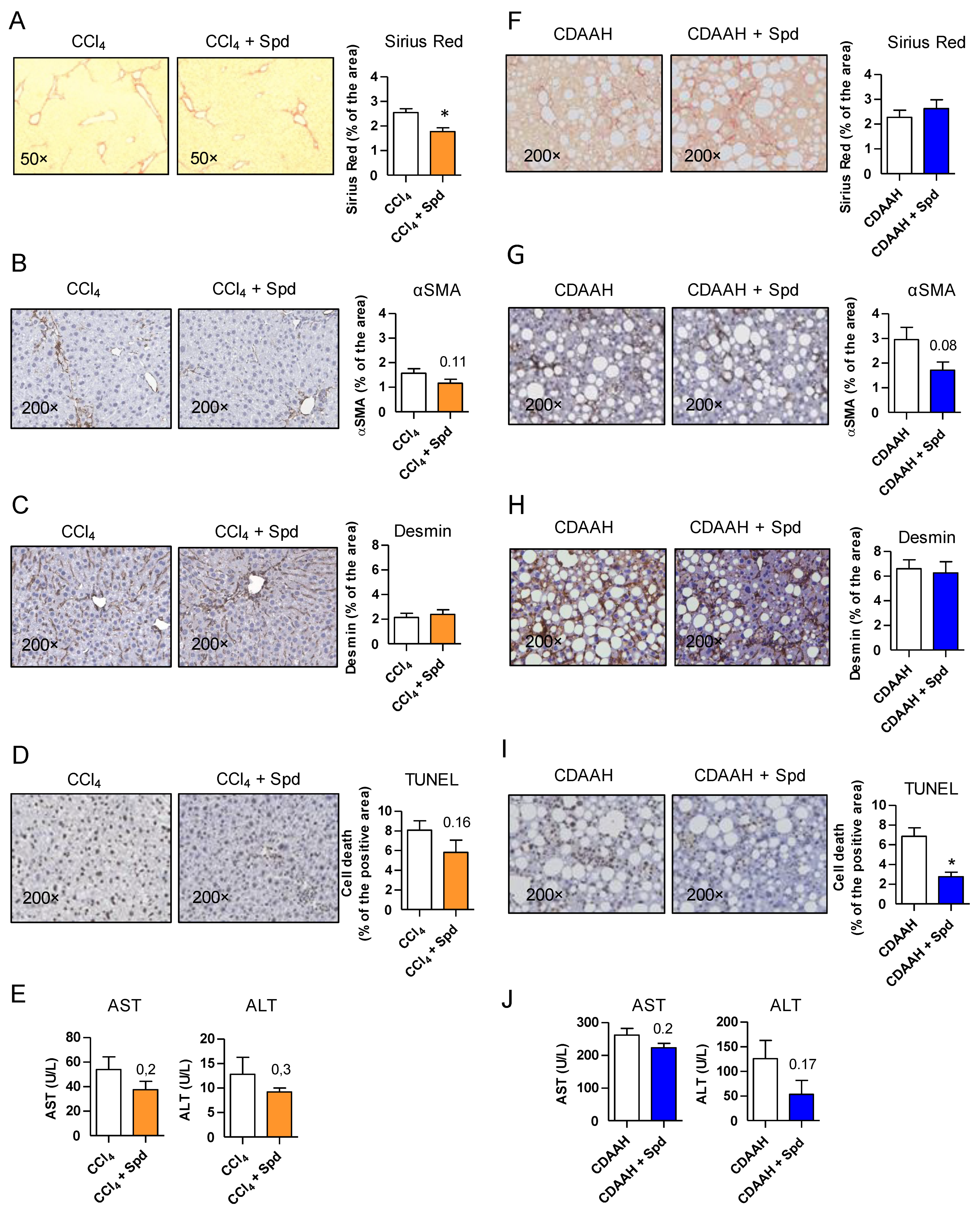 Nutrients 13 03700 g002 Nutrients 13 03700 g002