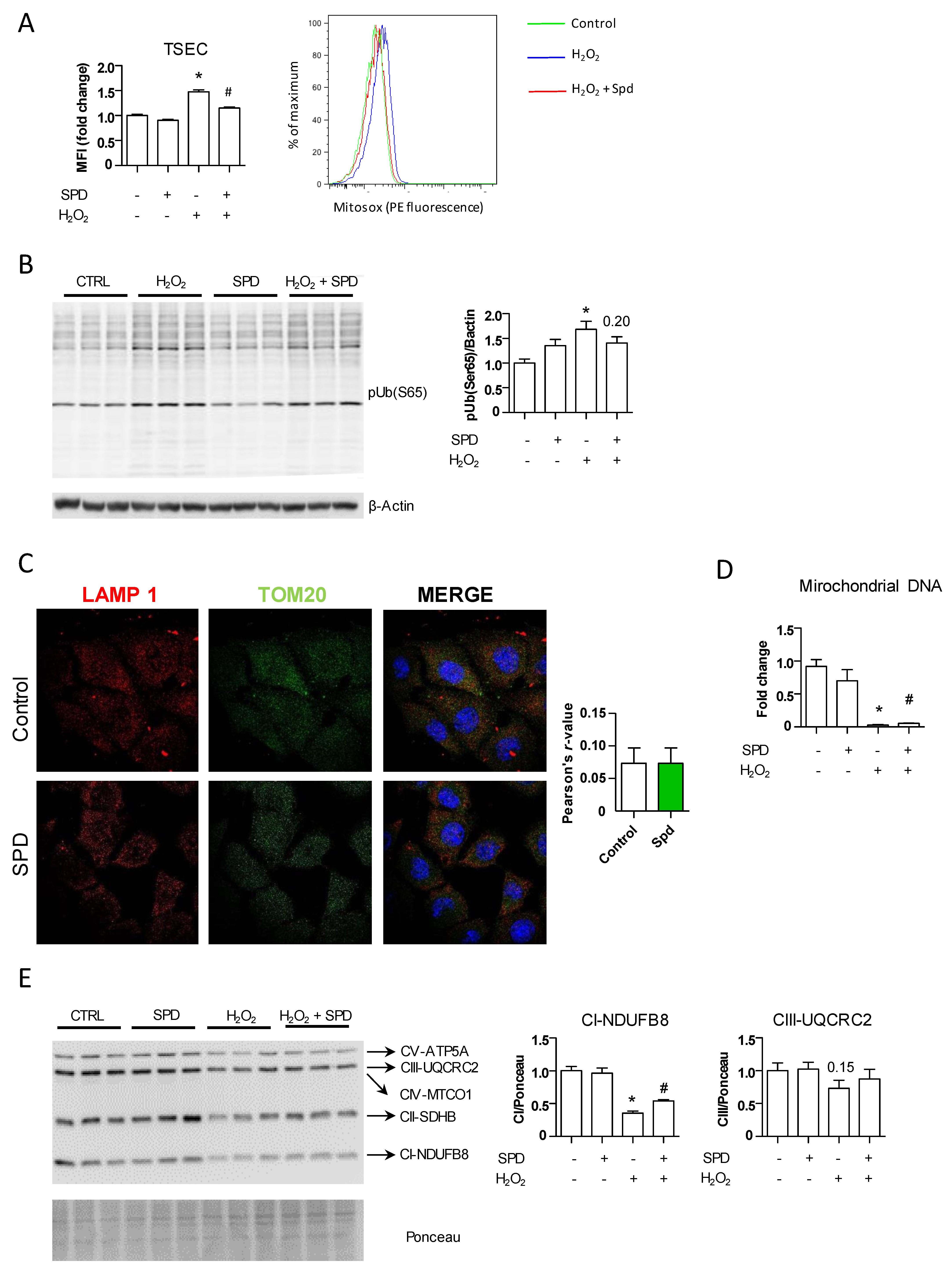 Nutrients 13 03700 g003 Nutrients 13 03700 g003