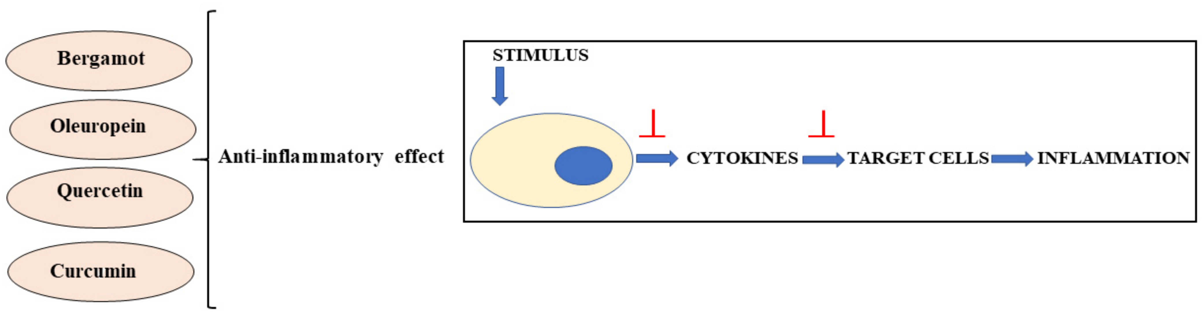 Nutrients 13 03834 g005 Nutrients 13 03834 g005