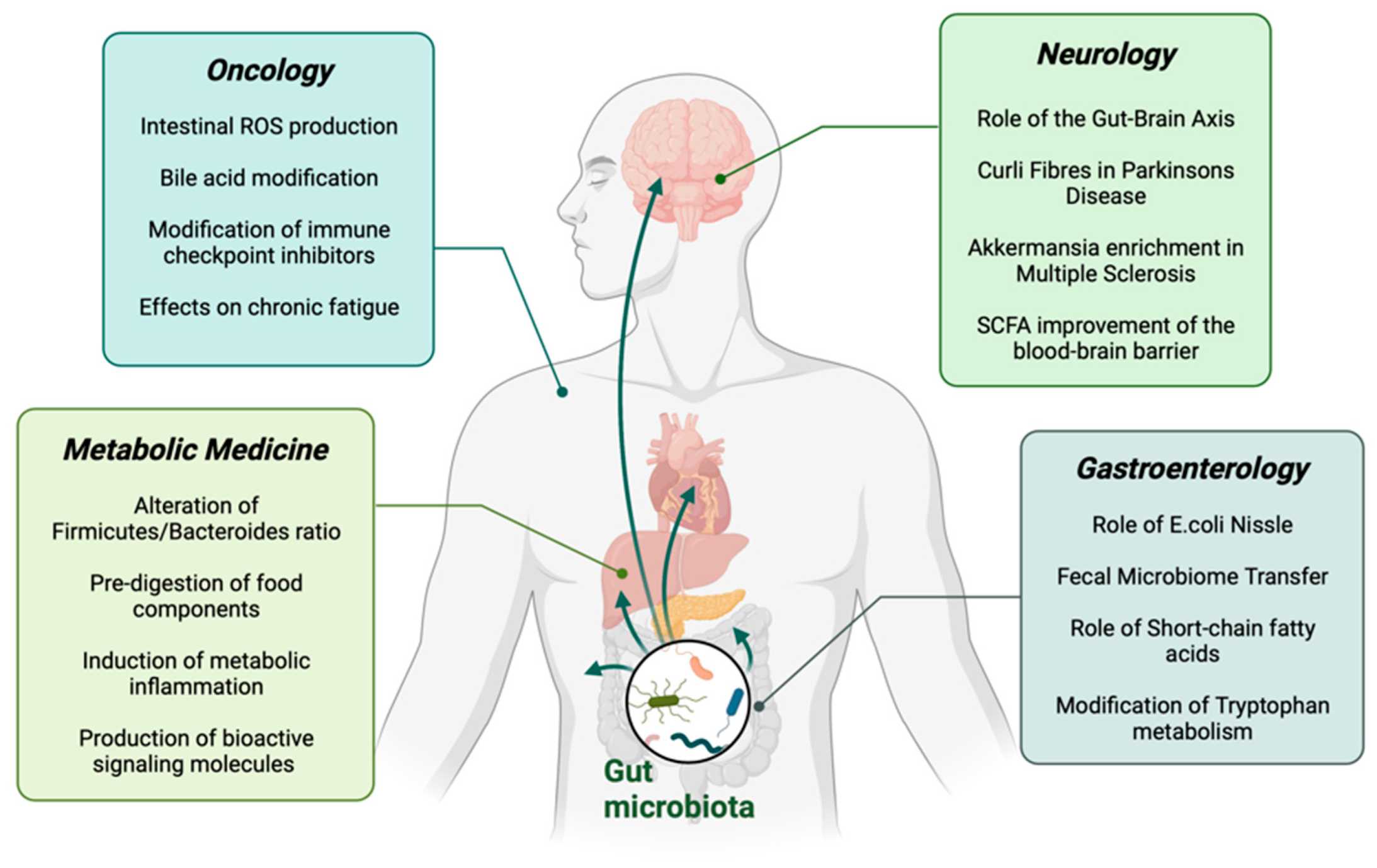 Nutrients | Free Full-Text | Microbiota in Health and Disease—Potential  Clinical Applications | HTML