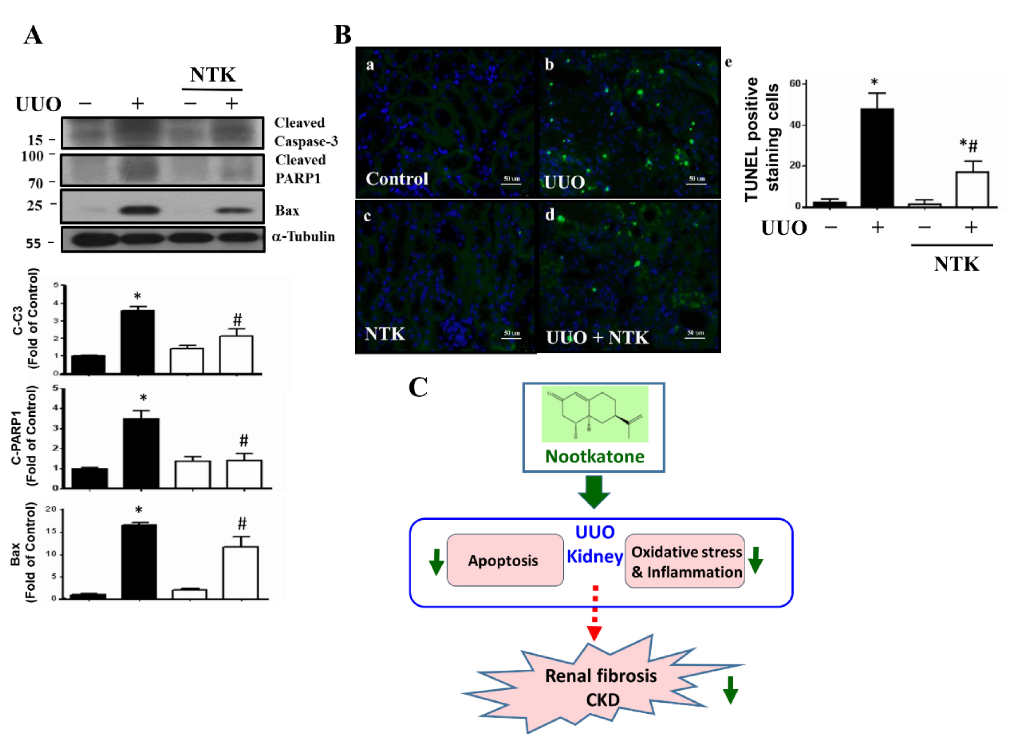 Nutrients 13 03921 g007