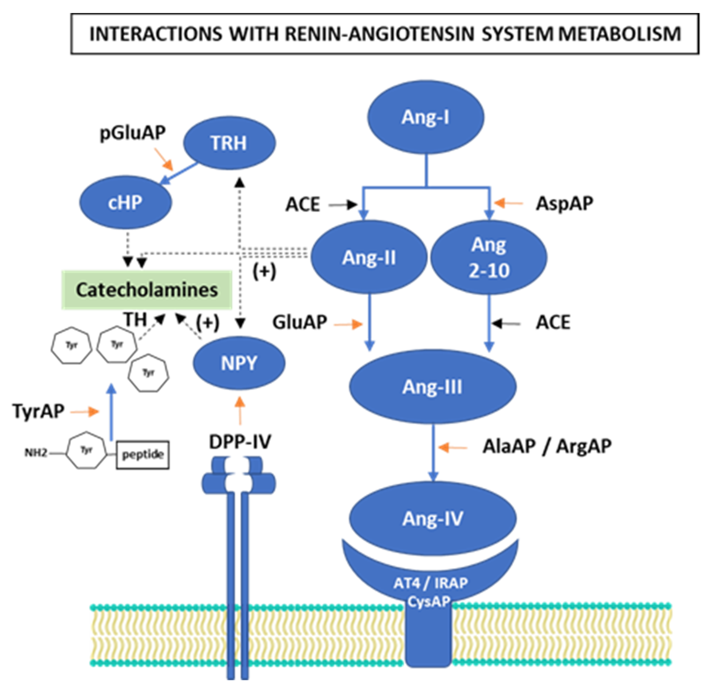 Nutrients 13 03939 g001