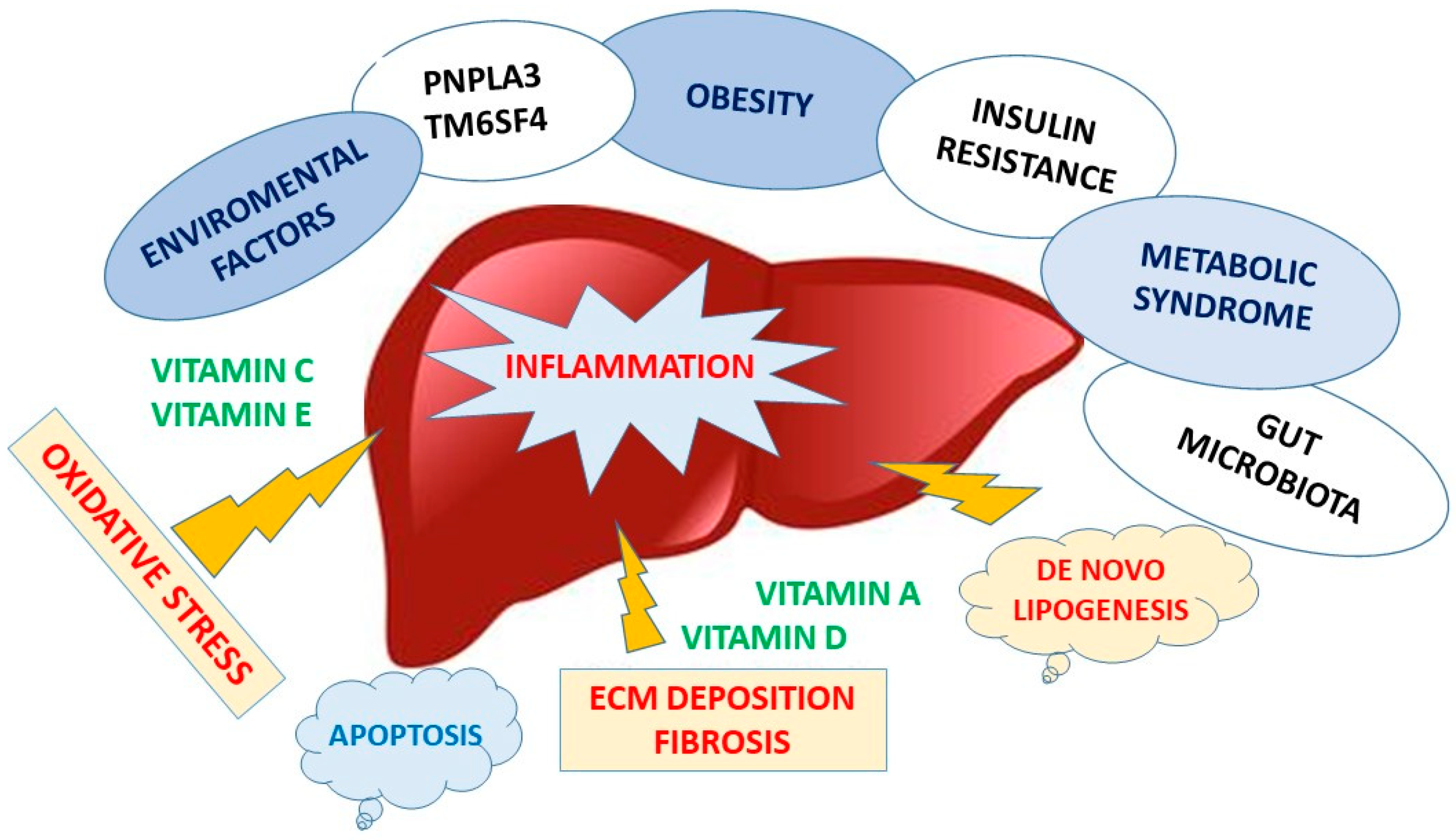 Nutrients | Free Full-Text | The Role of Vitamin Deficiency in Liver  Disease: To Supplement or Not Supplement?