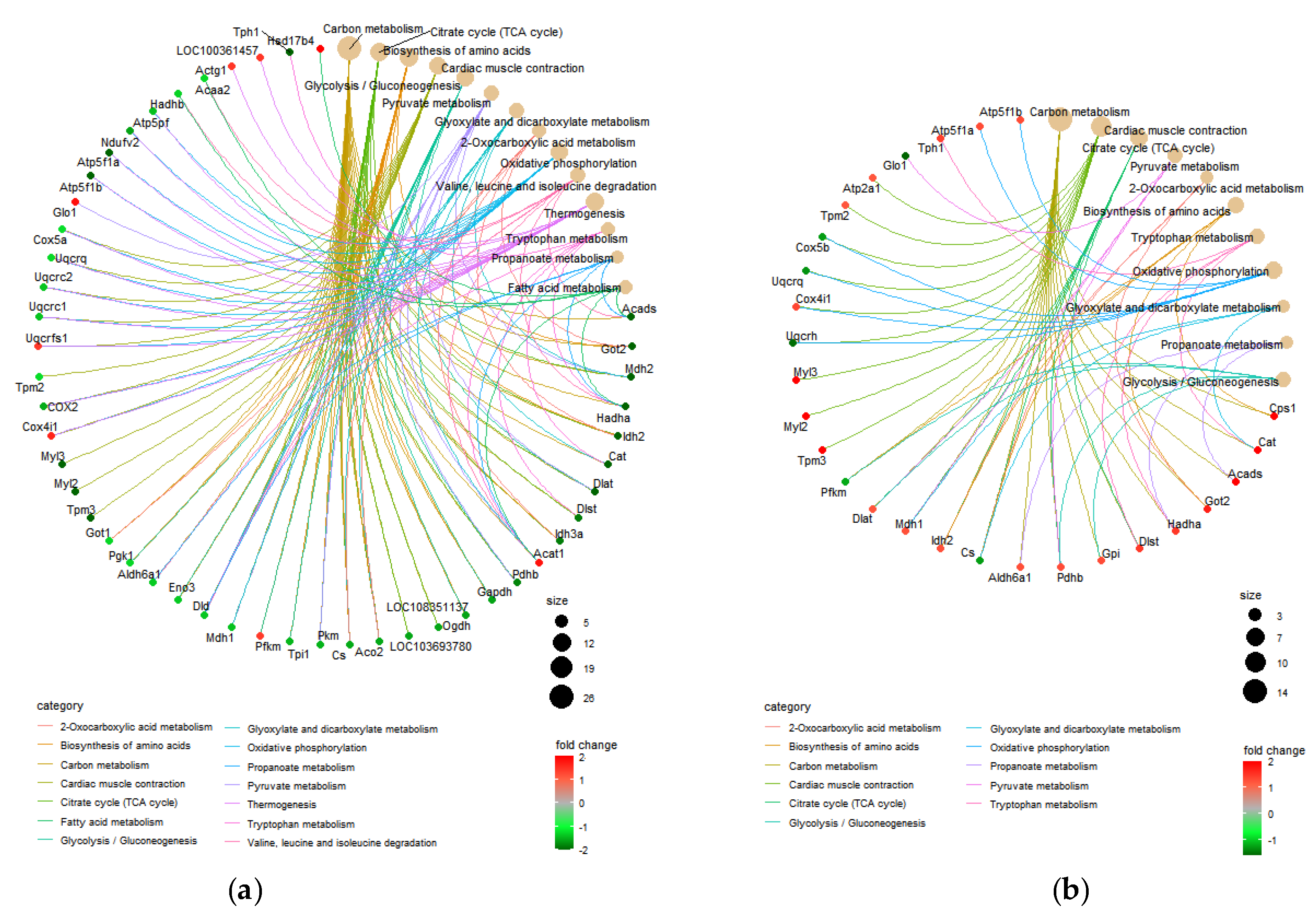 Nutrients 13 04041 g004 Nutrients 13 04041 g004
