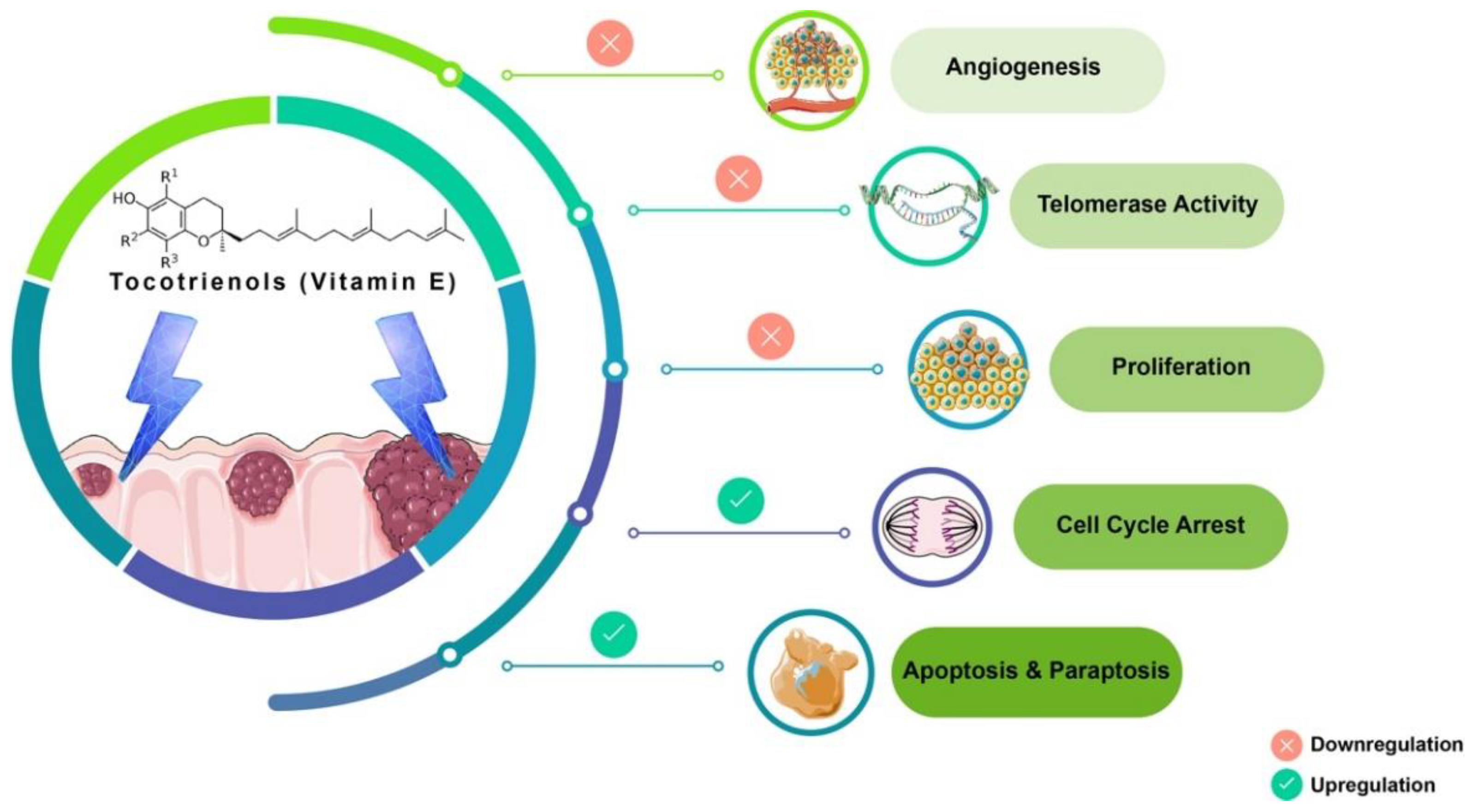 Nutrients 13 04056 g001