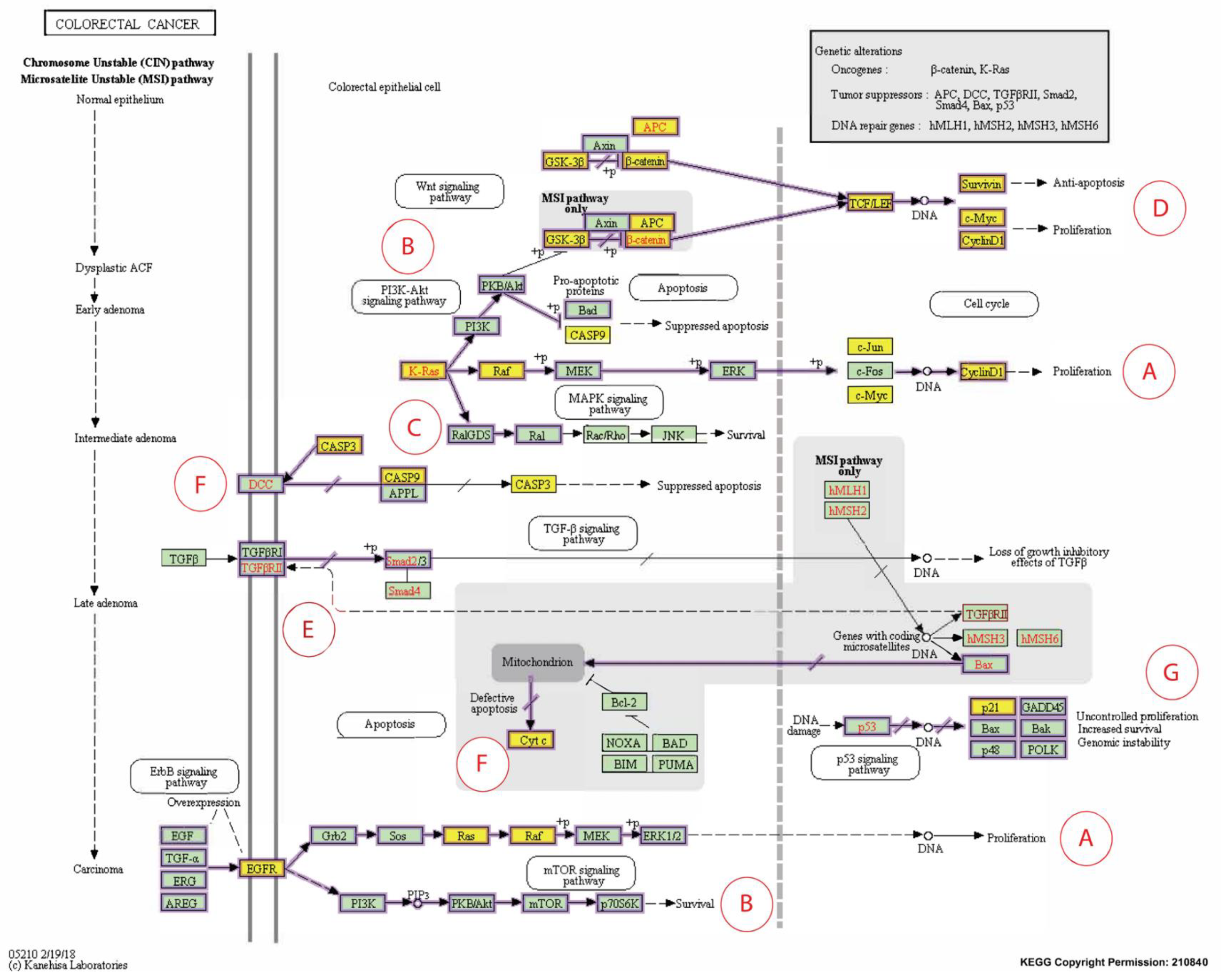 Nutrients 13 04056 g008a