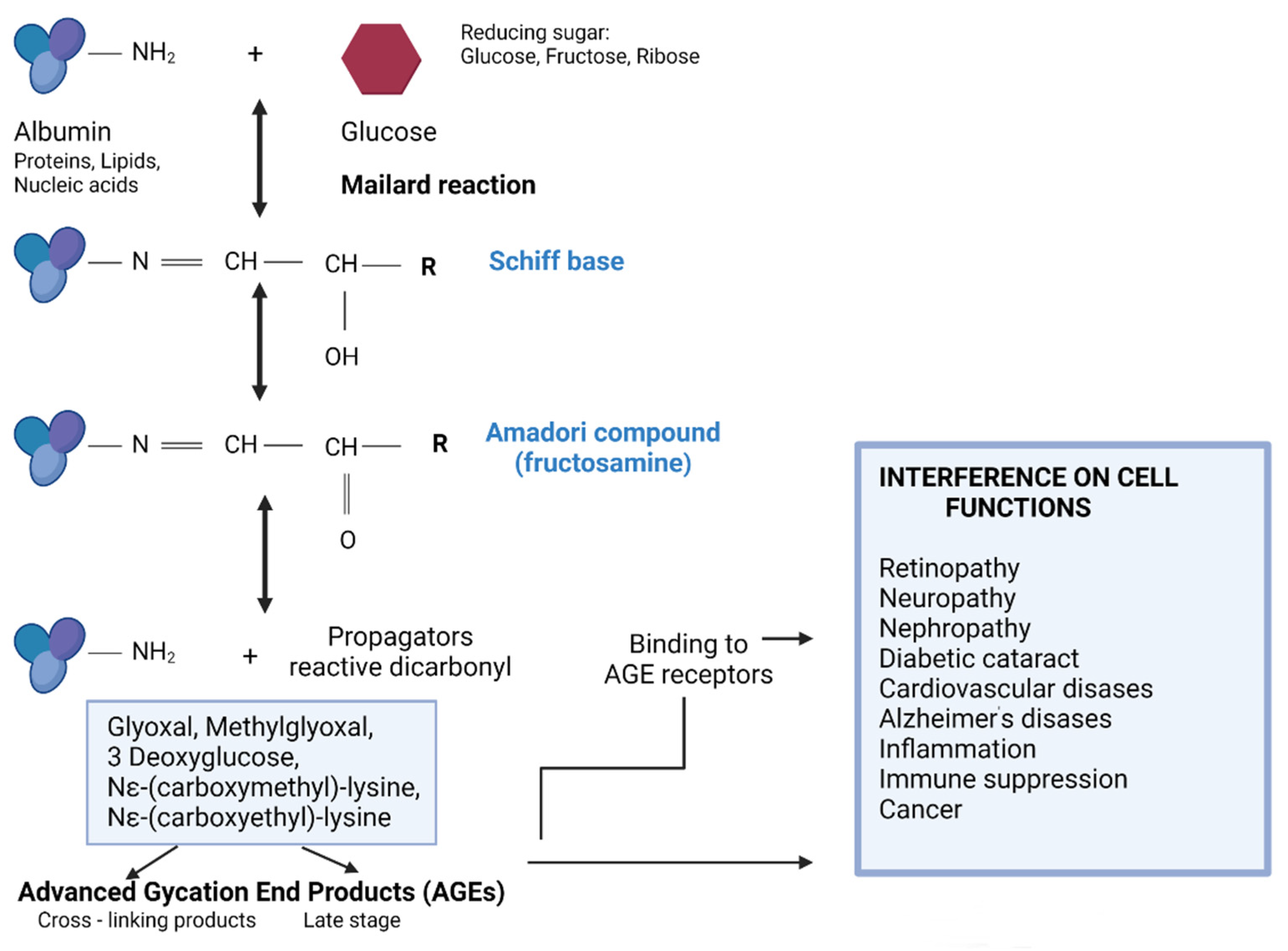 Nutrients 13 04066 g001