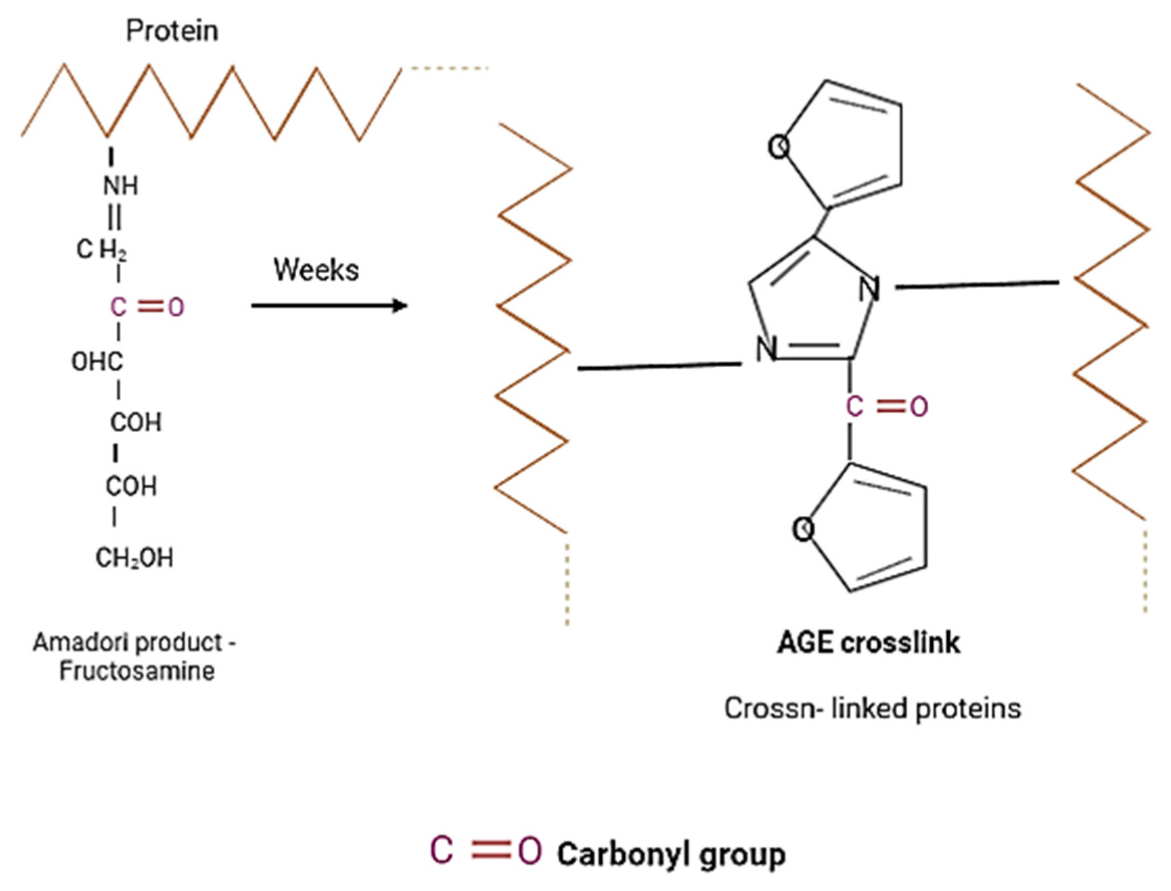 Nutrients 13 04066 g015