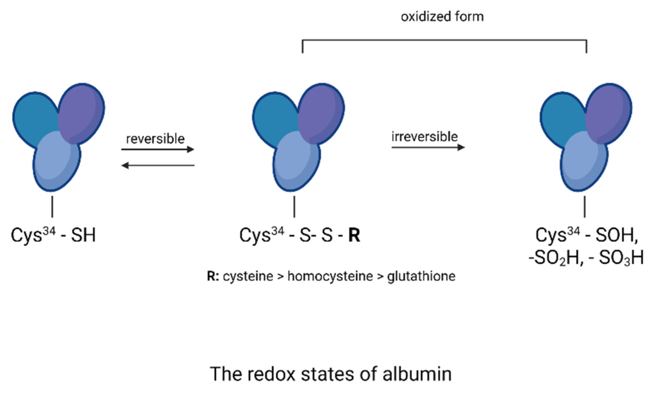 Nutrients 13 04066 g016