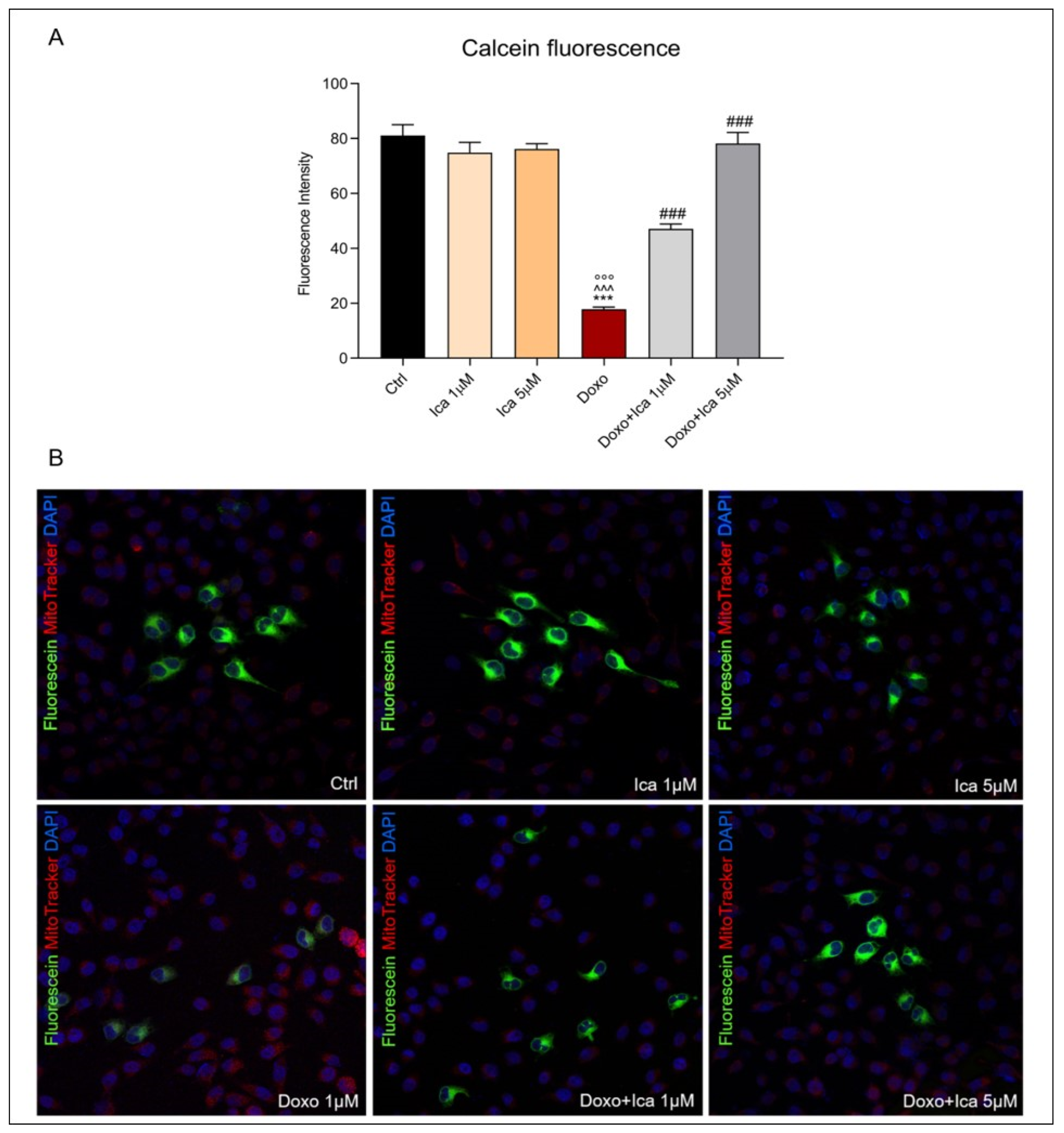 Nutrients 13 04070 g005 Nutrients 13 04070 g005