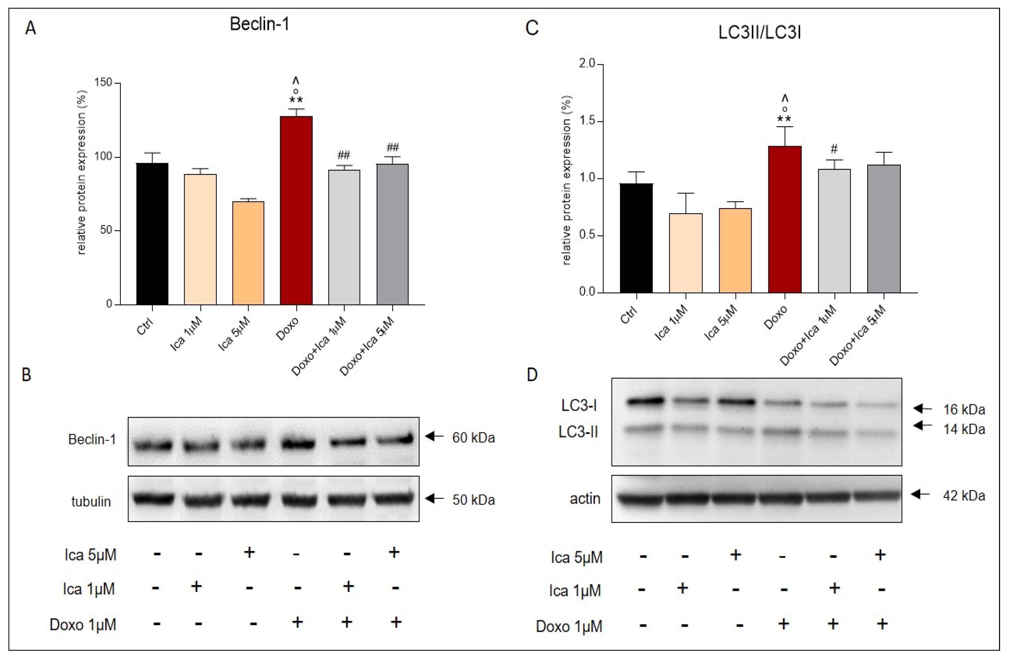Nutrients 13 04070 g009 Nutrients 13 04070 g009