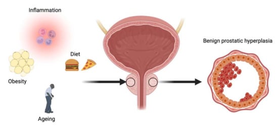 Nutrients Free Full Text Relationship between Dietary Patterns