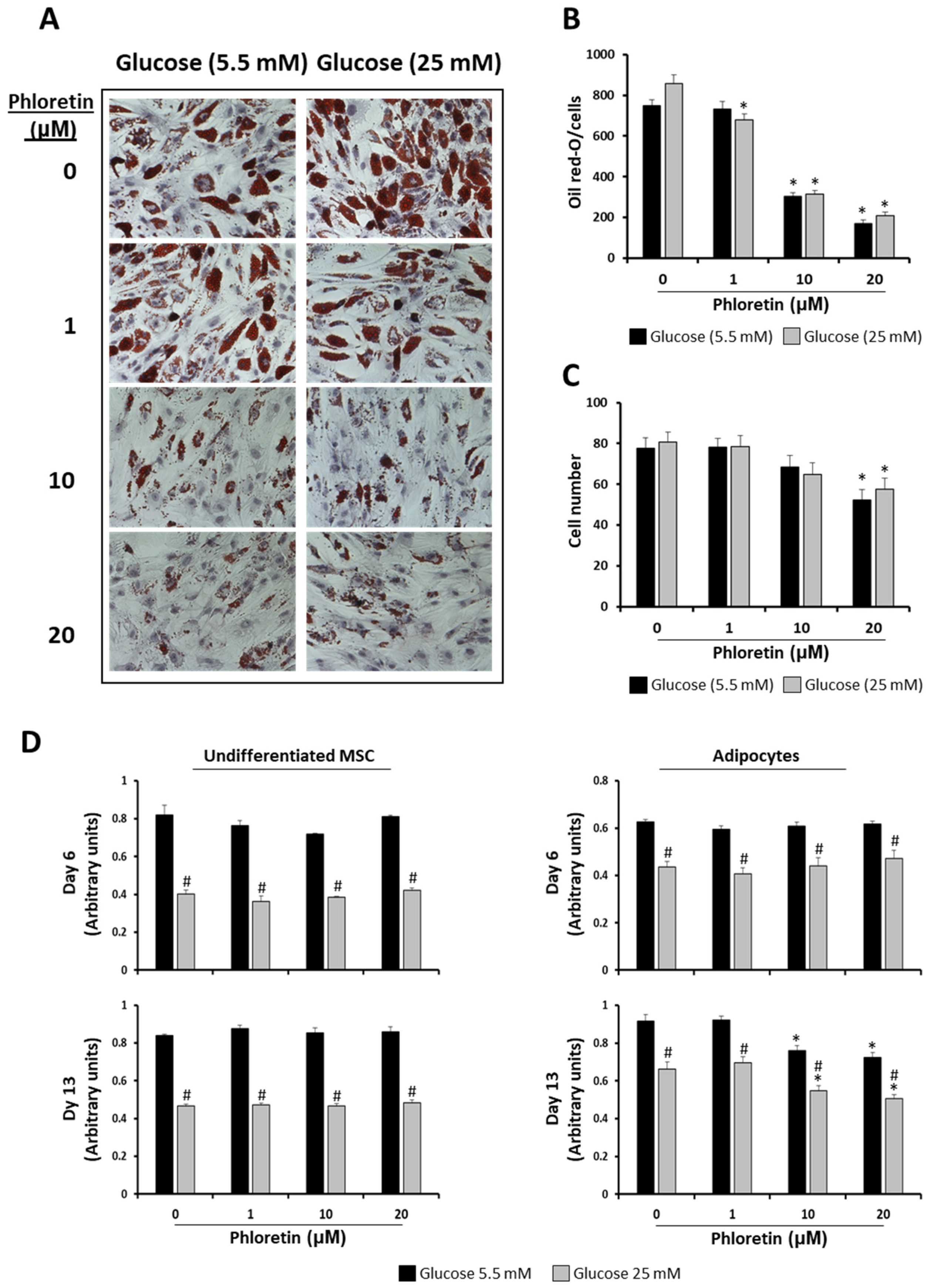 Nutrients 13 04185 g003 Nutrients 13 04185 g003