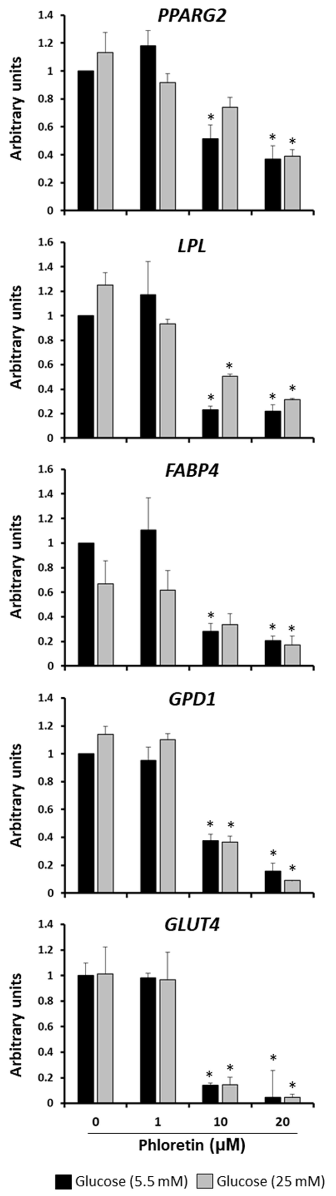 Nutrients 13 04185 g004 Nutrients 13 04185 g004