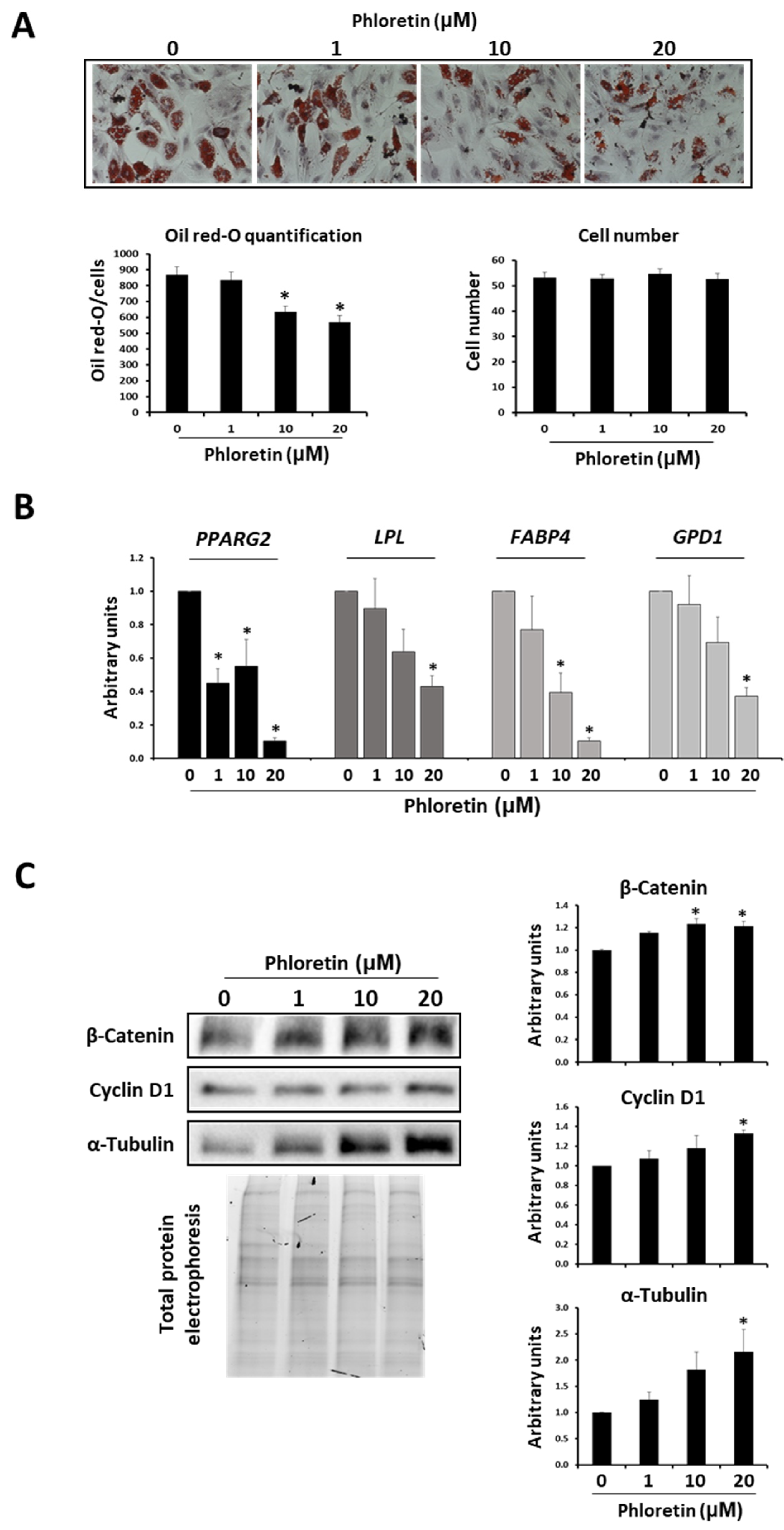 Nutrients 13 04185 g007 Nutrients 13 04185 g007