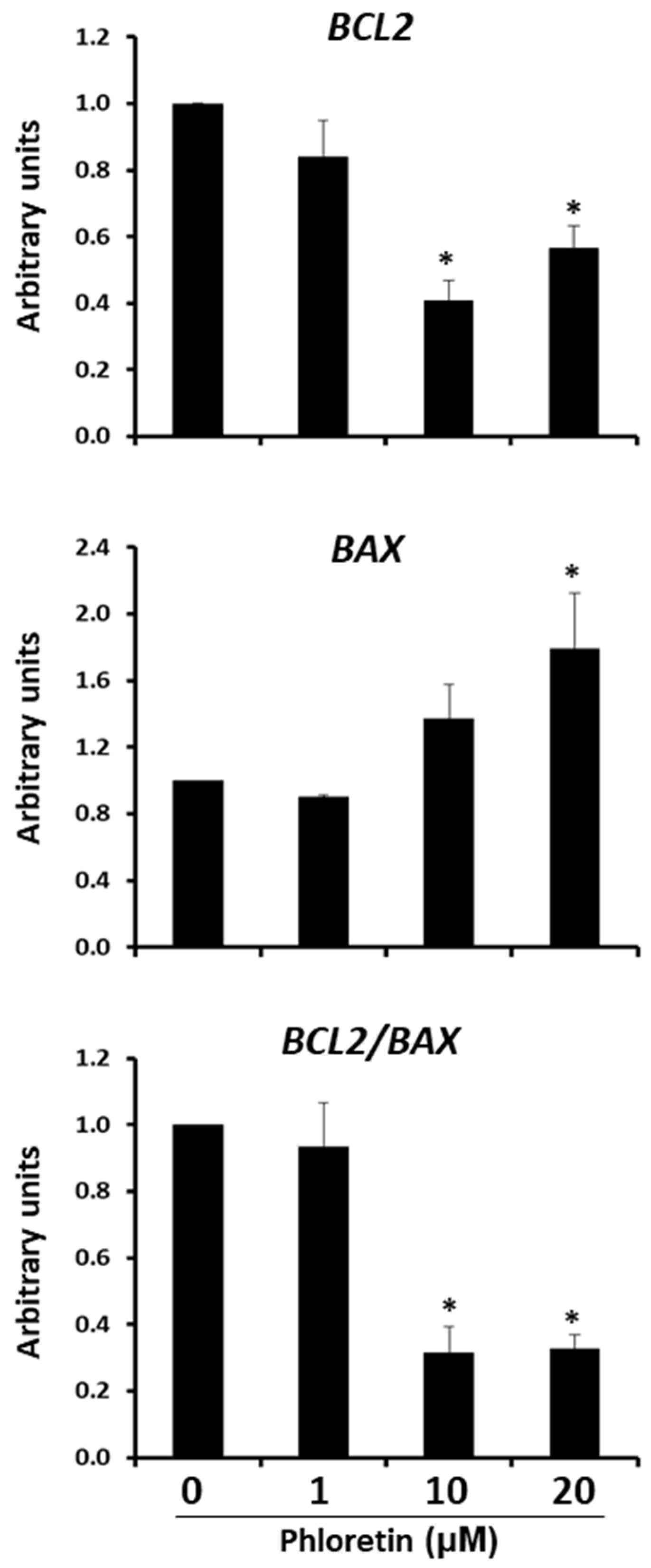 Nutrients 13 04185 g008 Nutrients 13 04185 g008