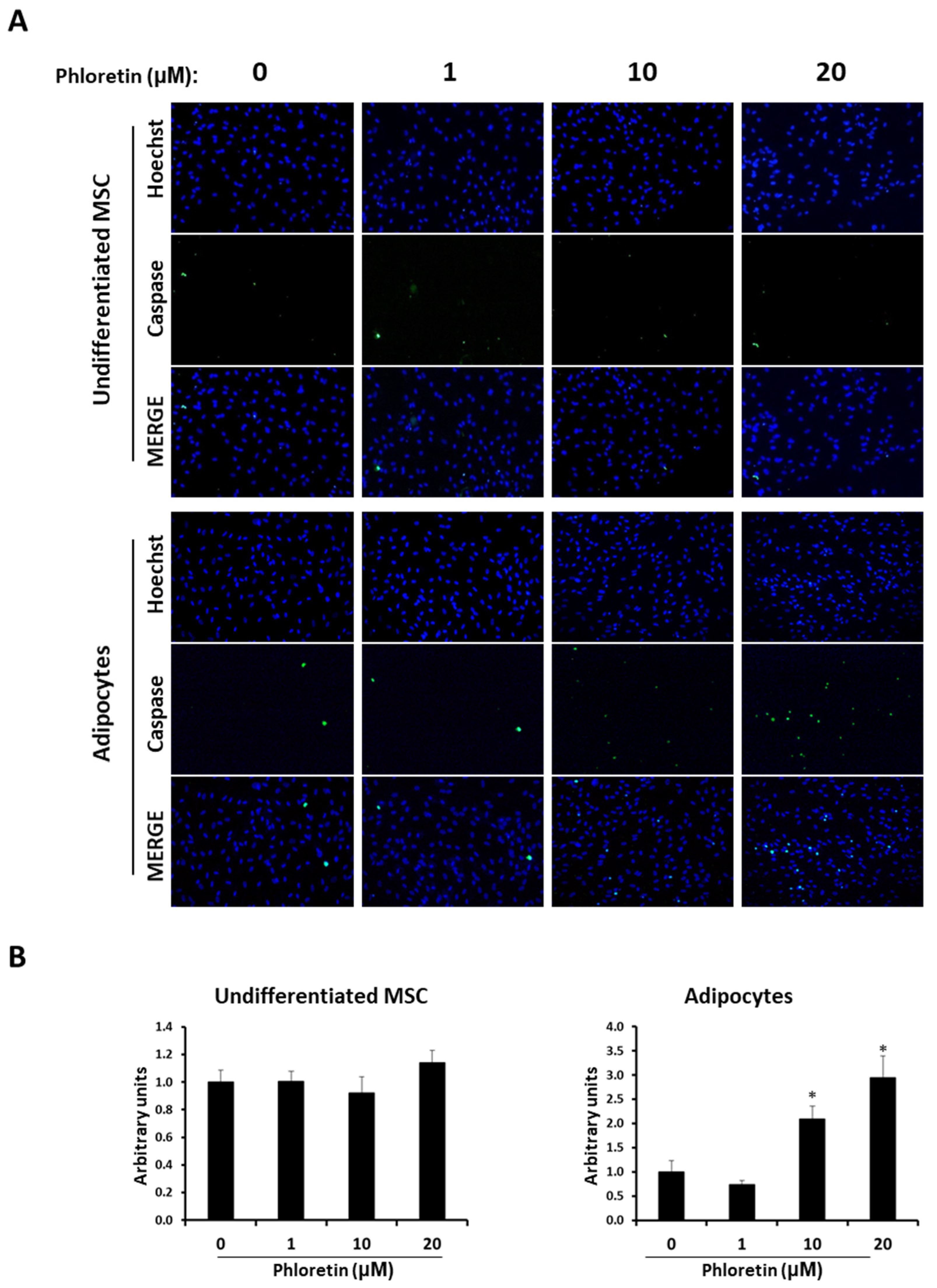 Nutrients 13 04185 g009 Nutrients 13 04185 g009