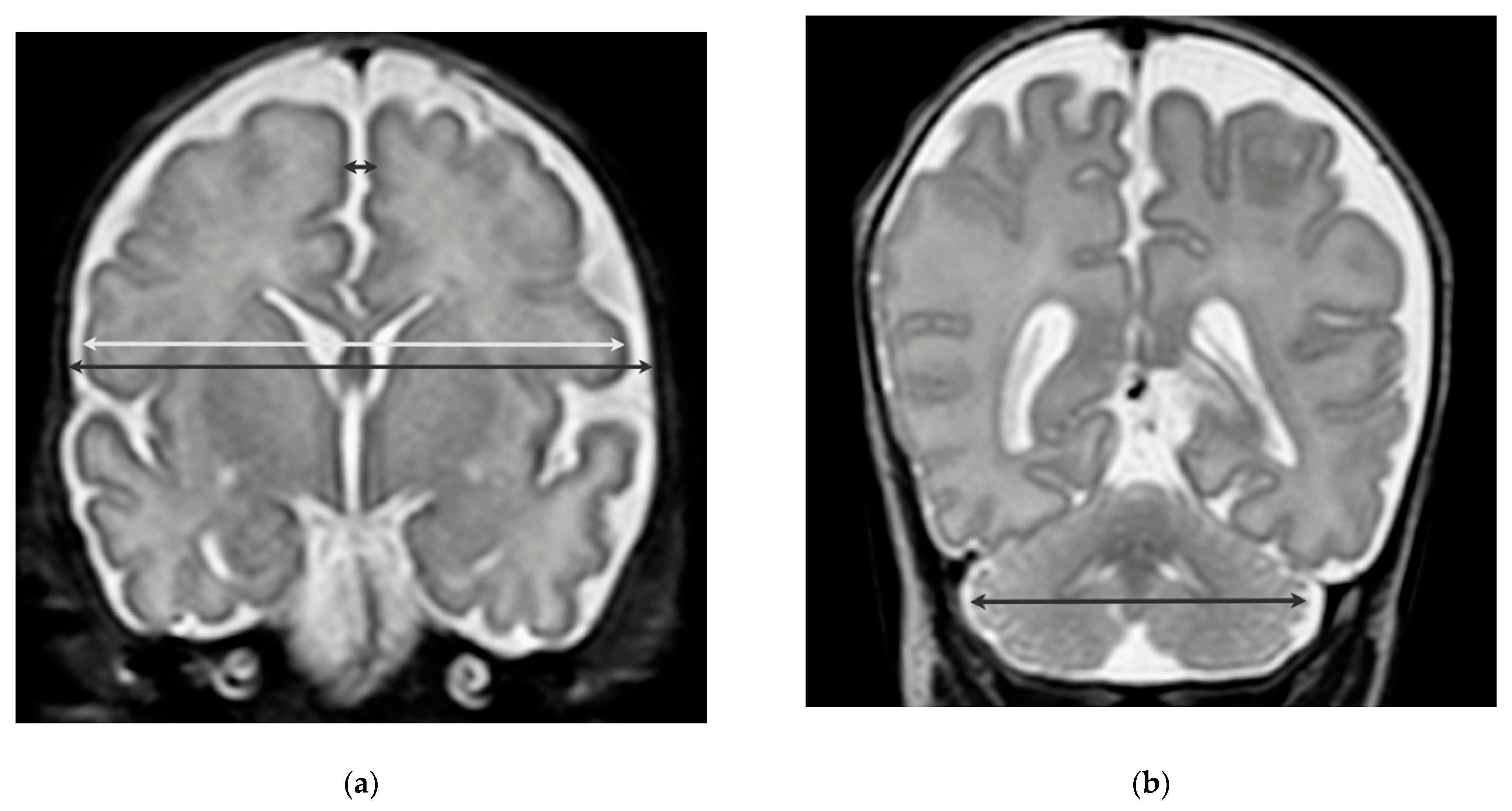 Nutrients 13 04205 g001