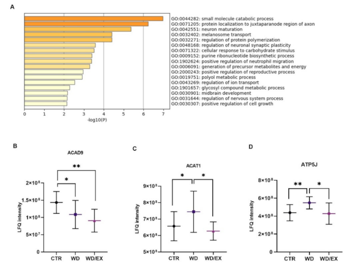 Nutrients 13 04242 g003