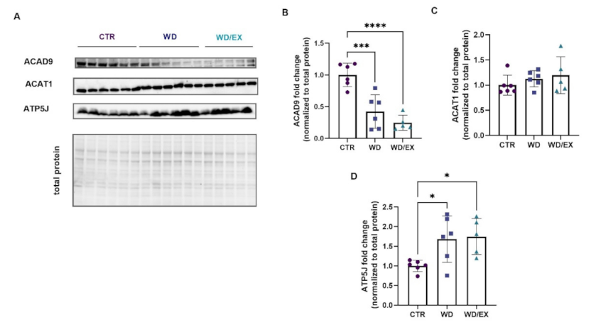 Nutrients 13 04242 g005