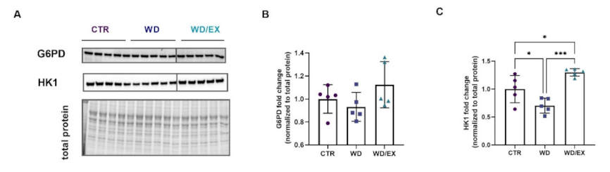 Nutrients 13 04242 g006