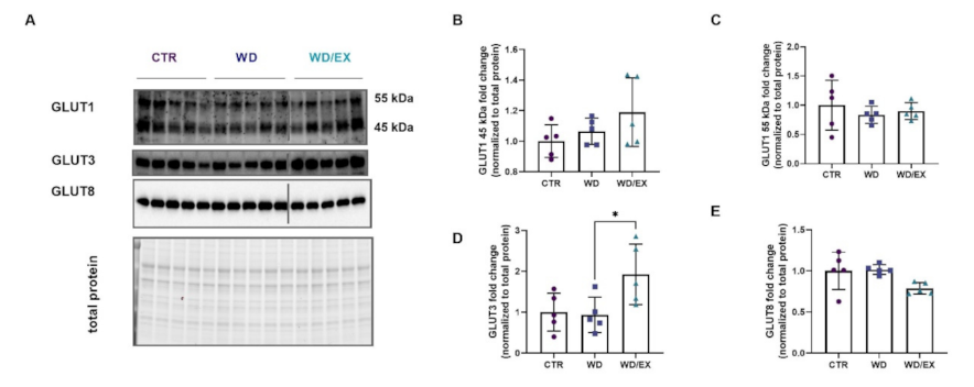 Nutrients 13 04242 g007
