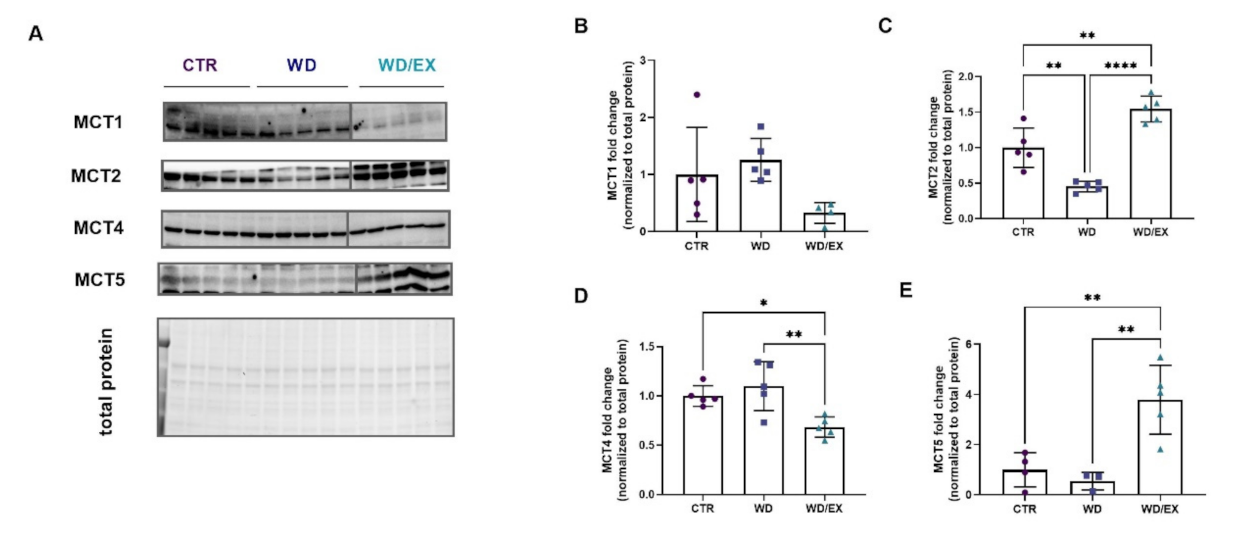 Nutrients 13 04242 g008
