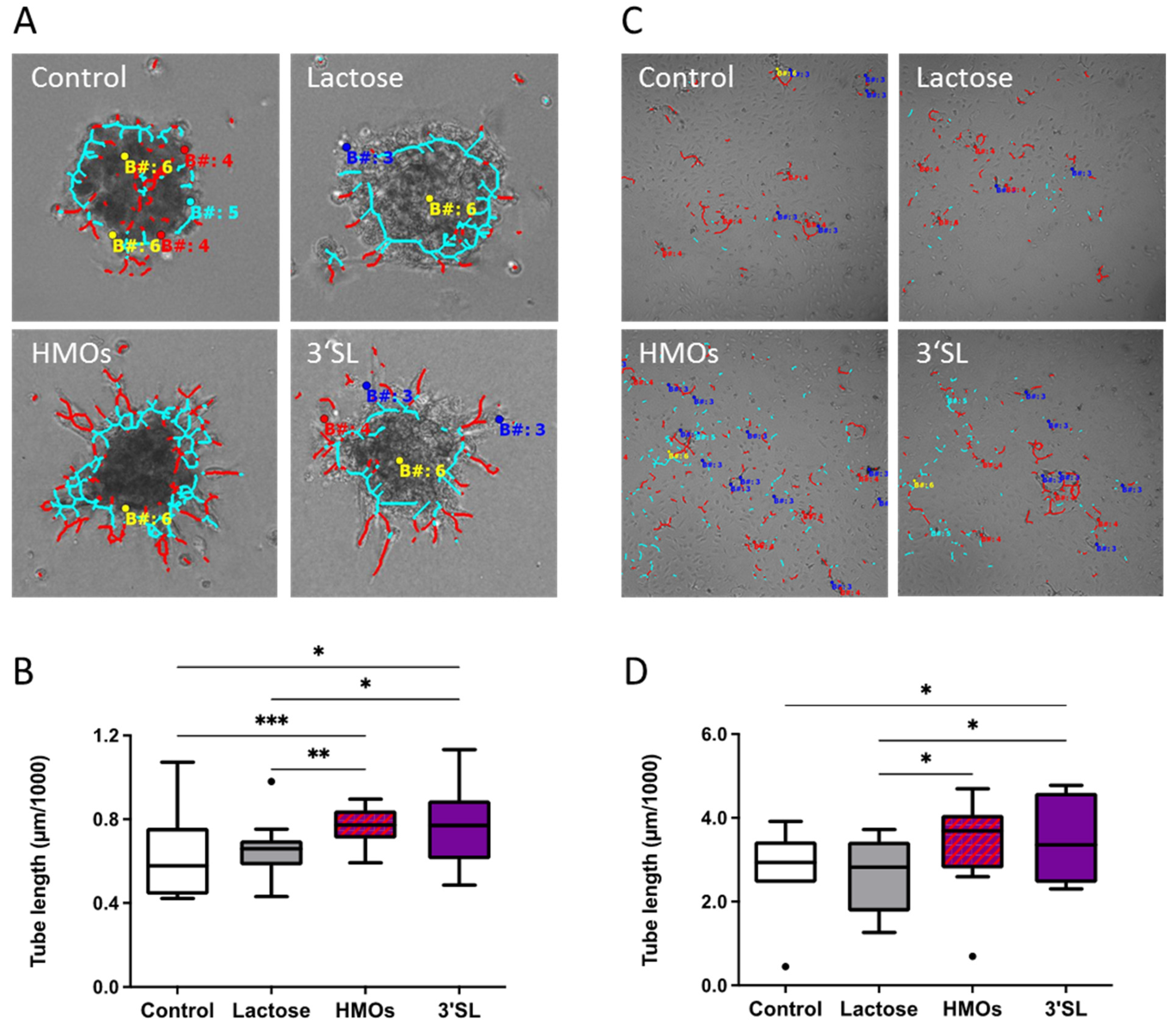 Nutrients 13 04257 g005