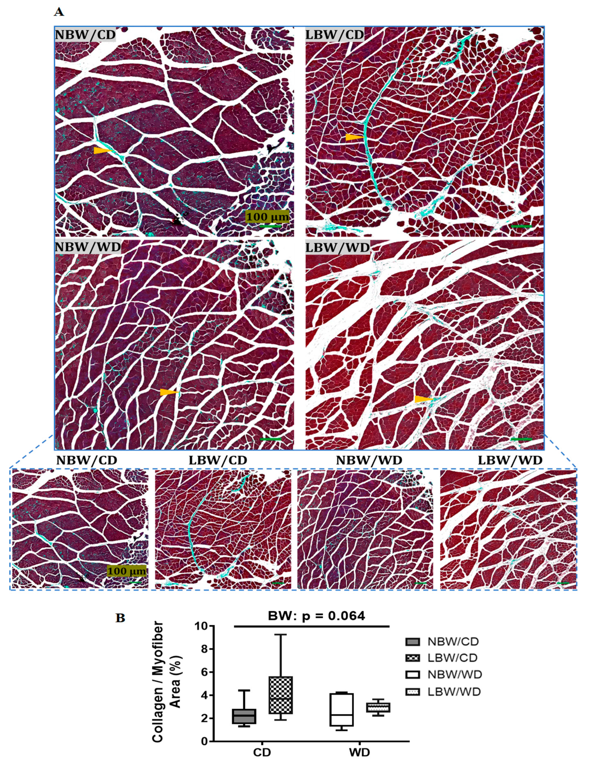 Nutrients 13 04315 g004