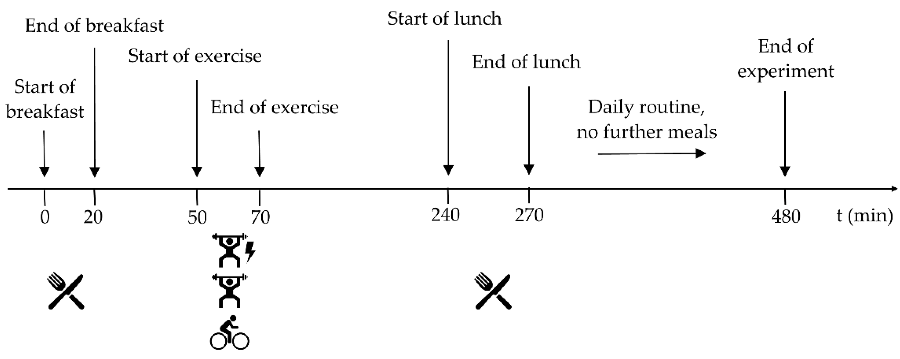 Nutrients | Free Full-Text | Effects of Acute Resistance Exercise