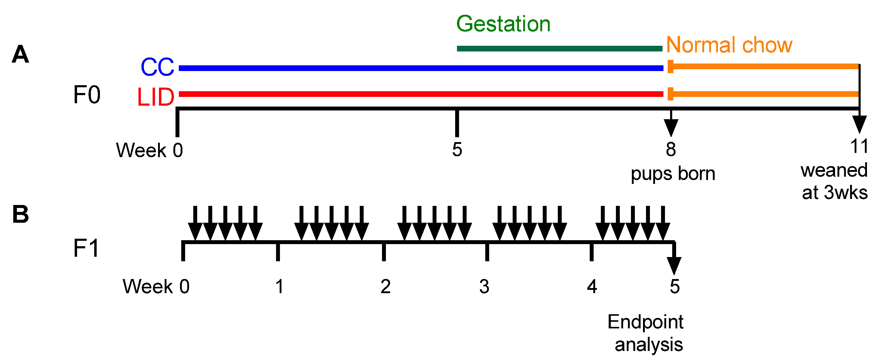 Nutrients 13 04461 g001