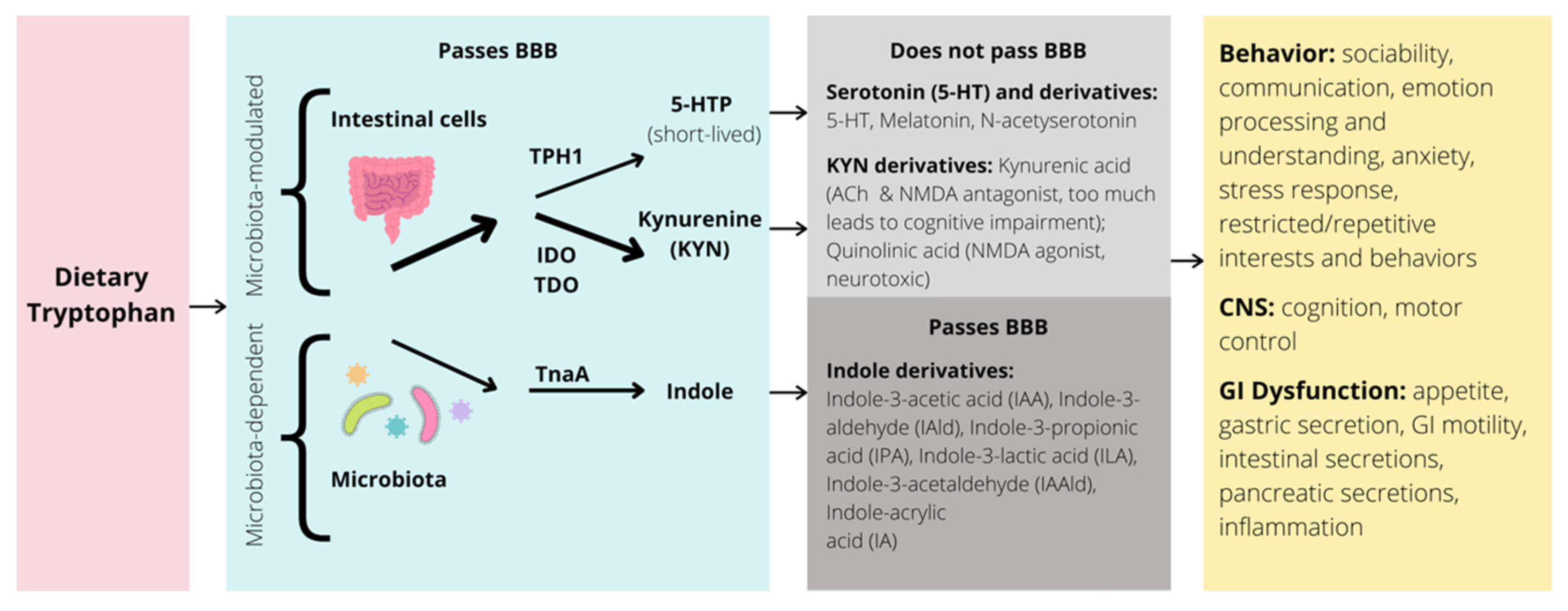 File:Enhanced functional connectivity of insula in high elo action