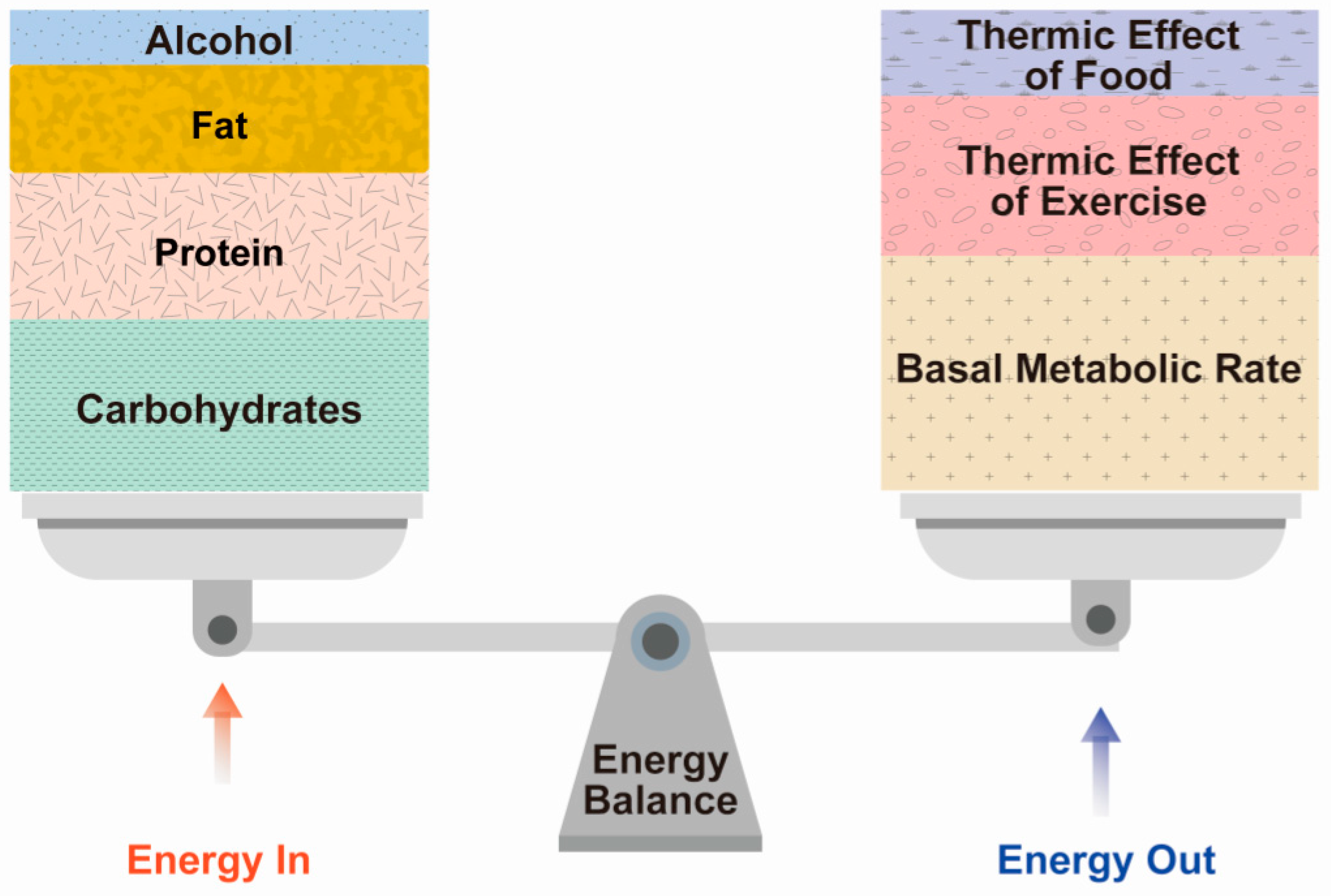 Energy metabolism and menopause