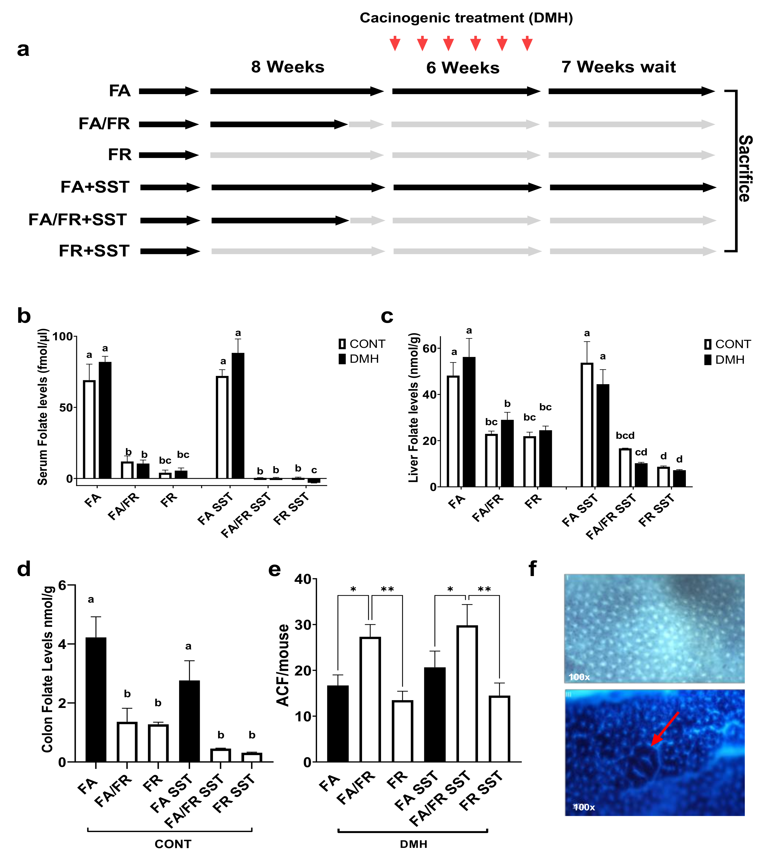 Nutrients 14 00016 g001