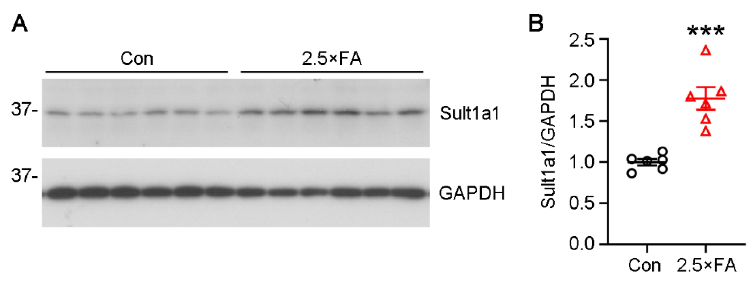 Nutrients 14 00066 g007