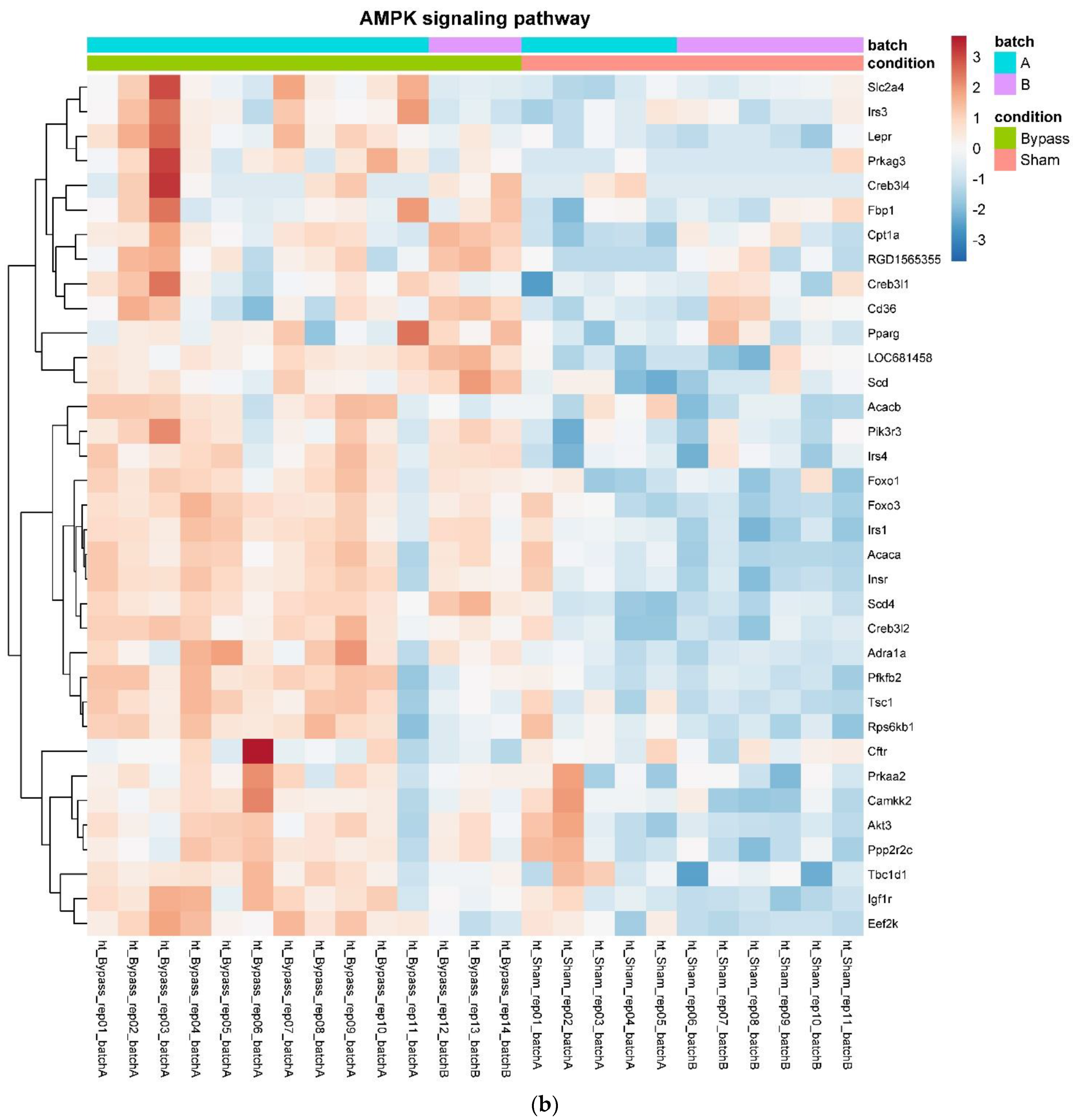 Nutrients 14 00116 g004b Nutrients 14 00116 g004b