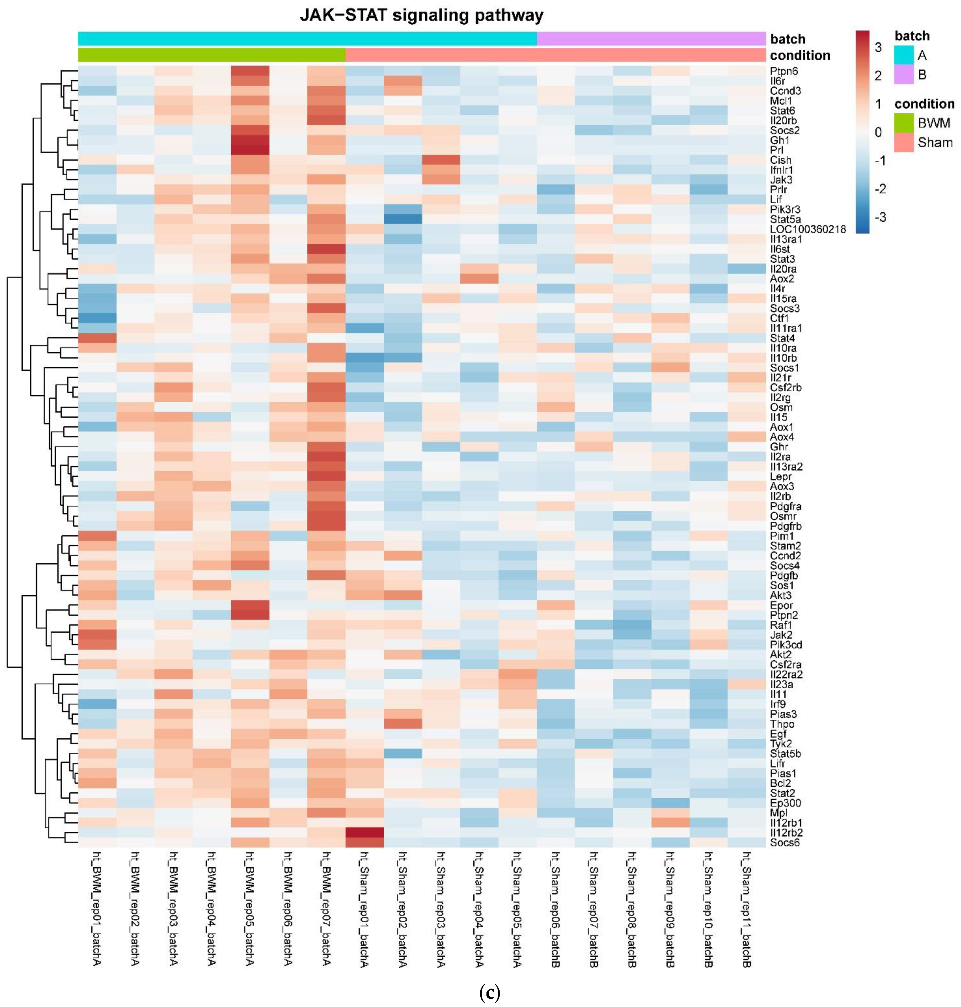 Nutrients 14 00116 g004c Nutrients 14 00116 g004c